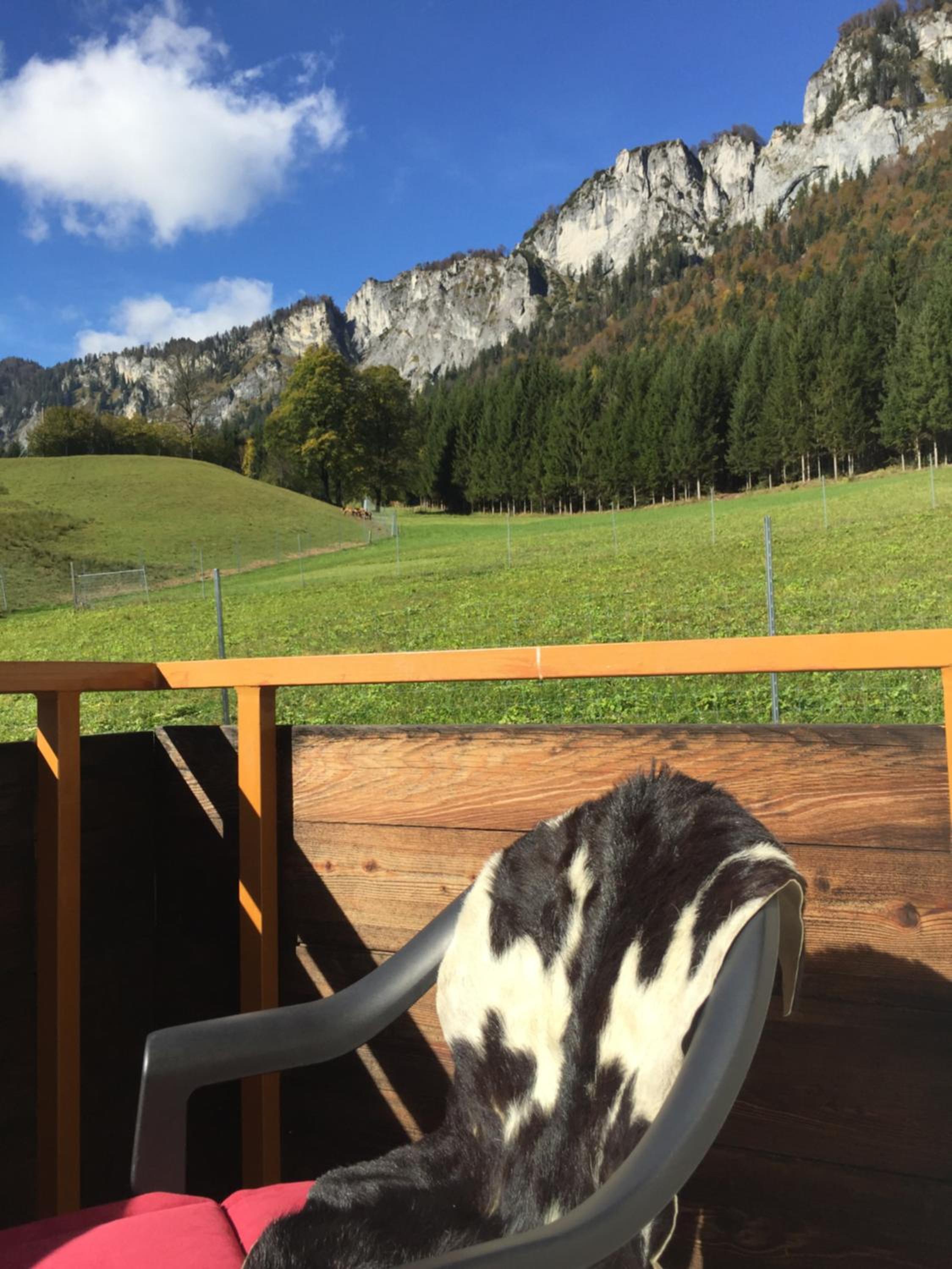 Berghof Haselsberger Appartements