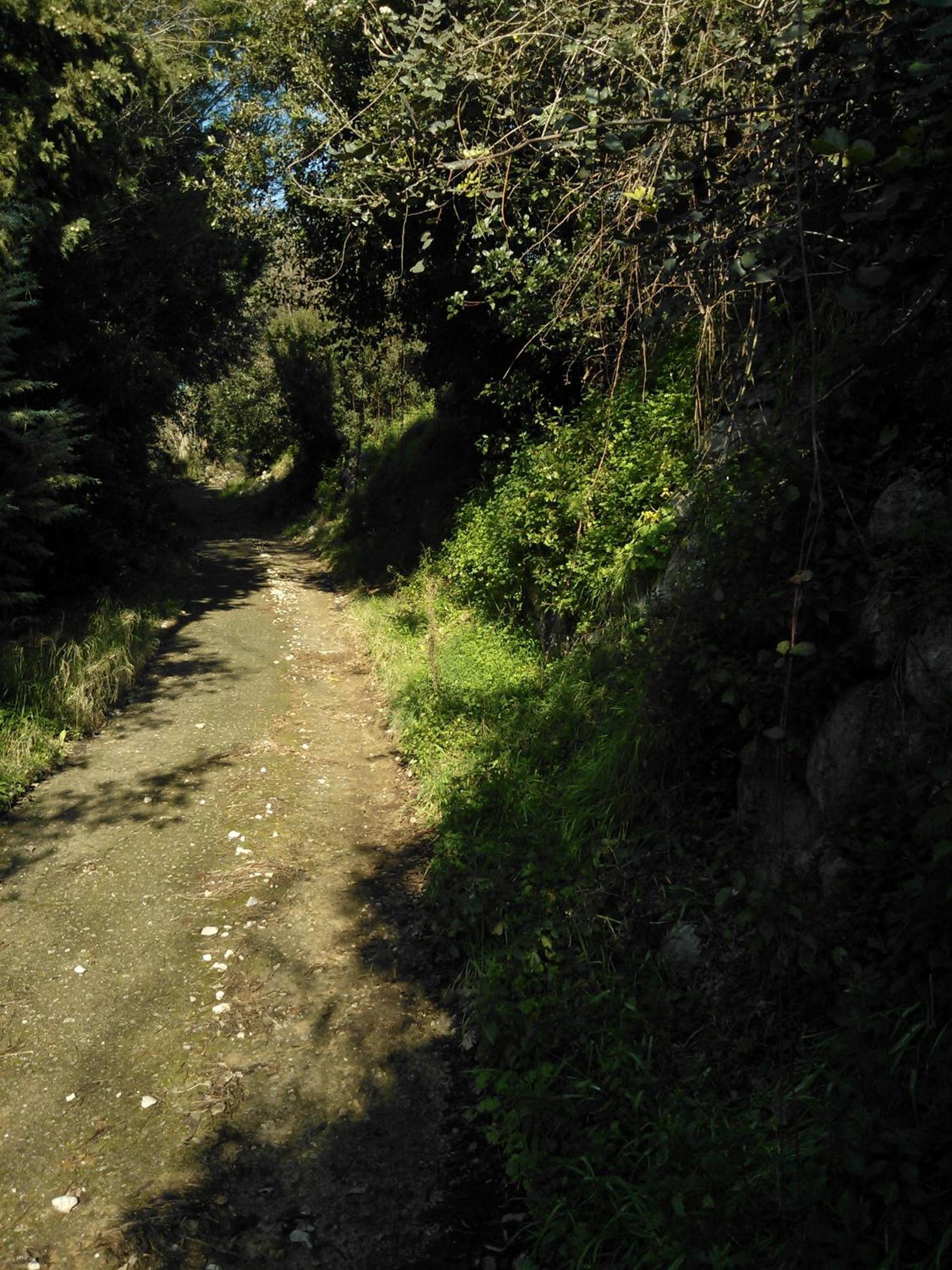 Photo 34