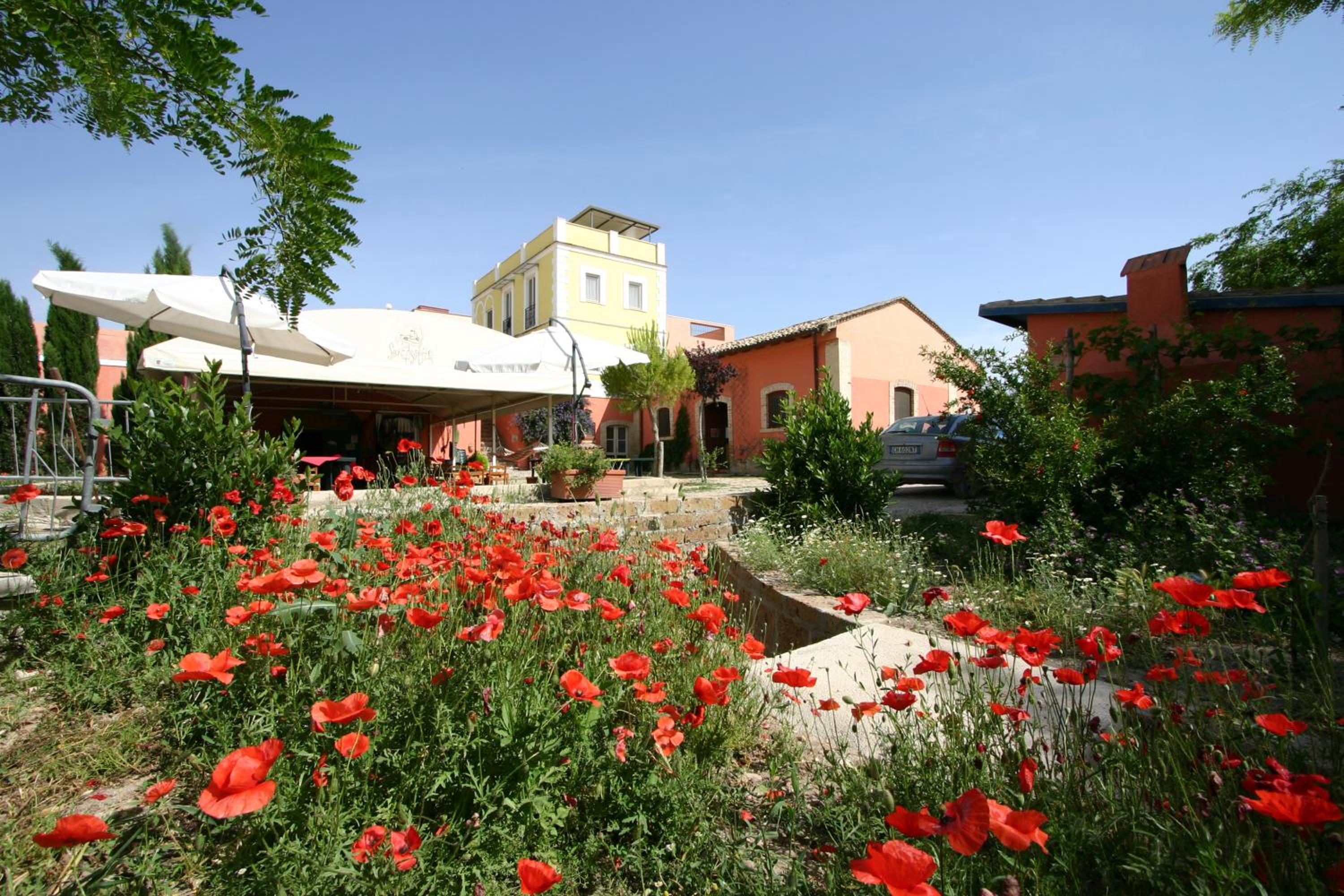 Photo 44