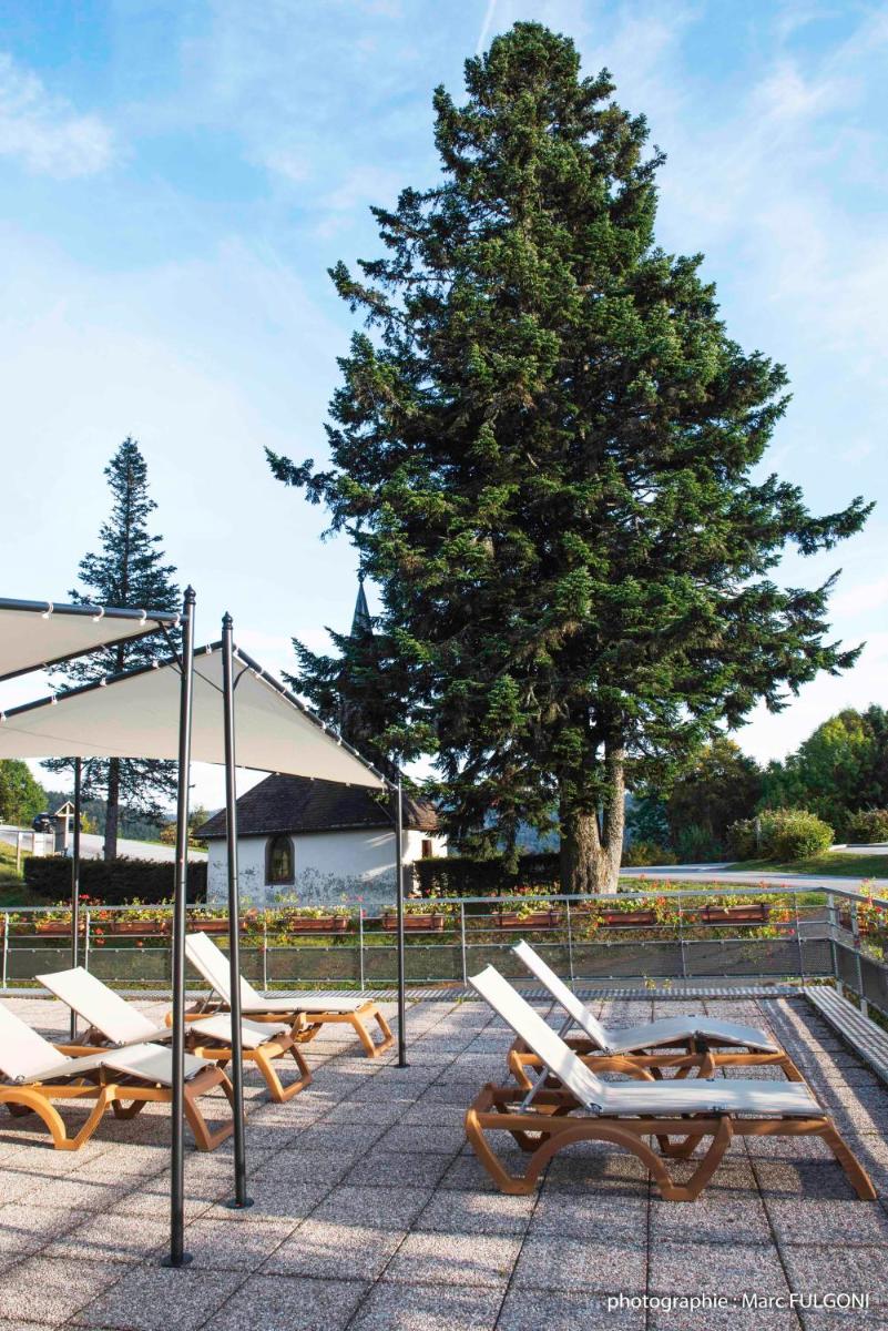 outdoor BBQ area
