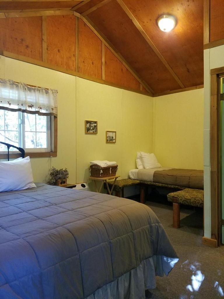Exit Glacier Lodge