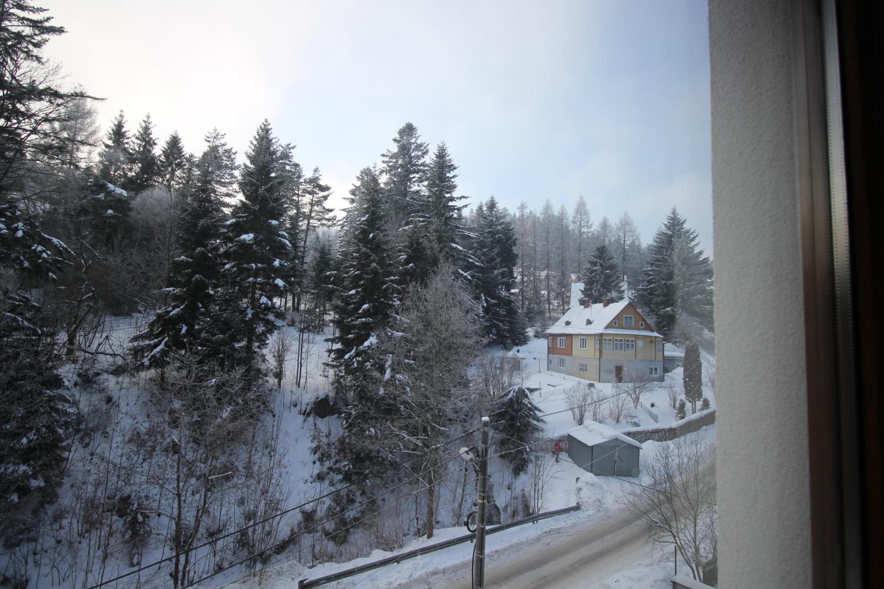 Apartament ZIELONA view 2