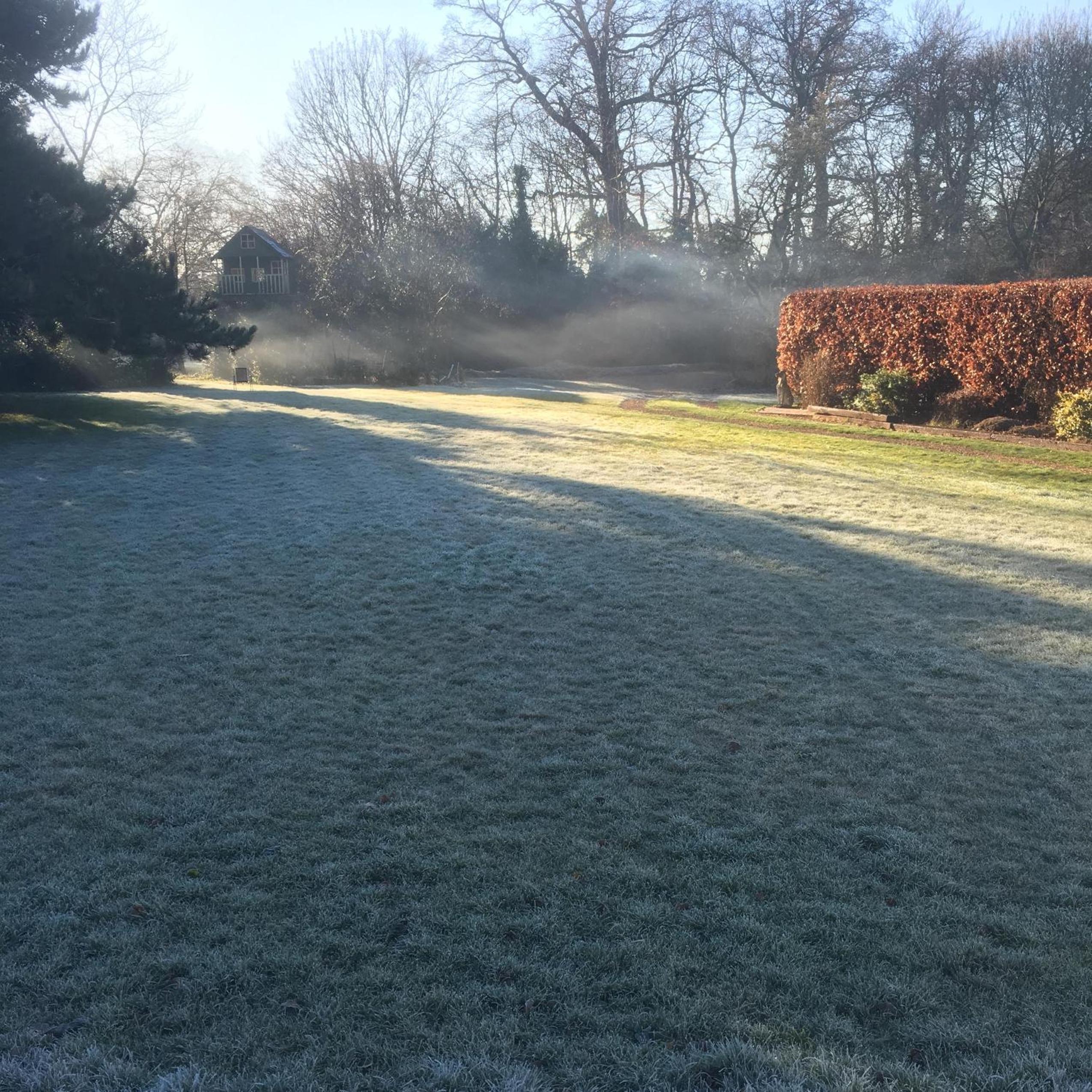 Photo 31