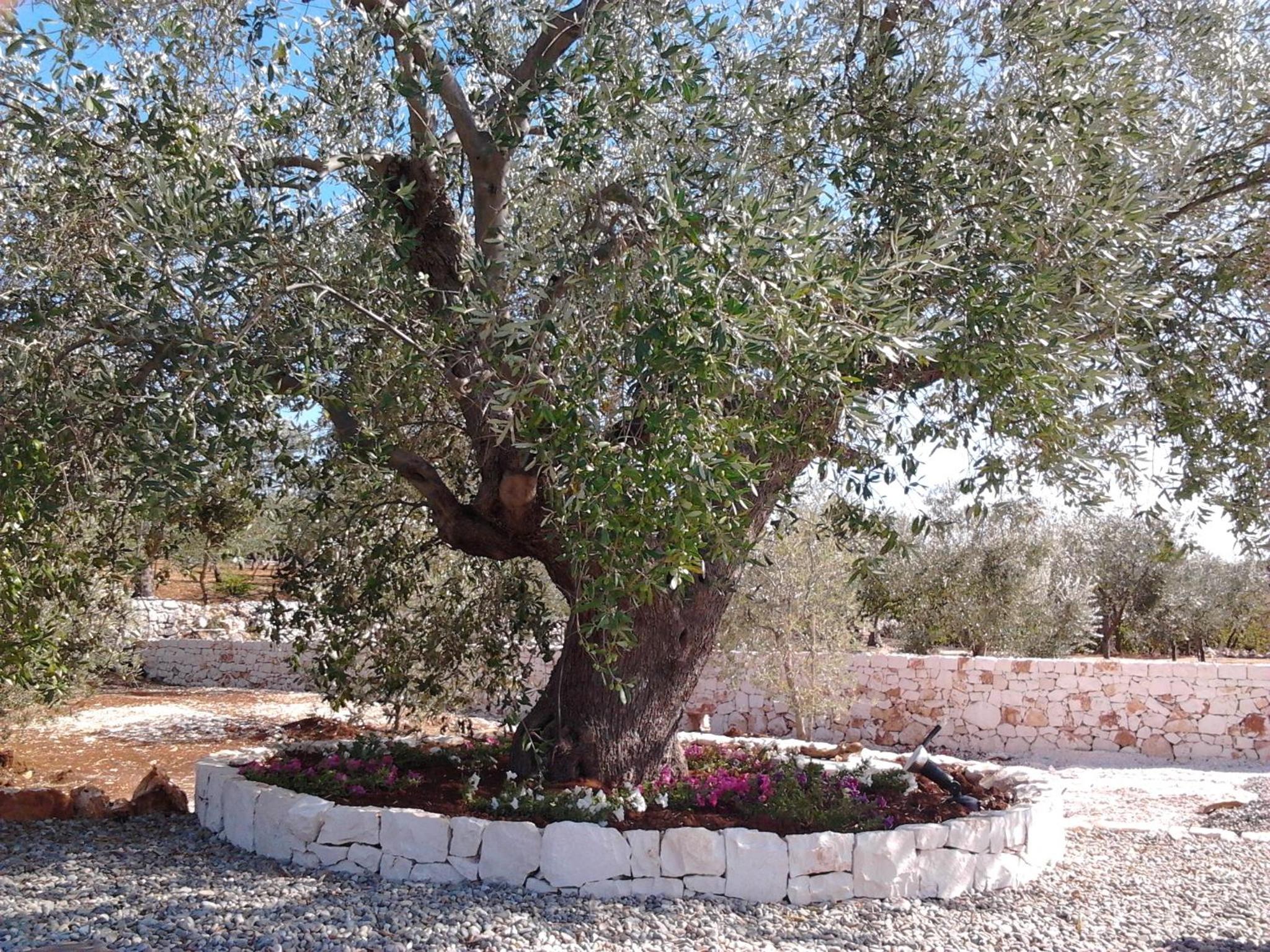 Photo 48