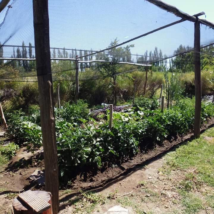 Hogar de Campo