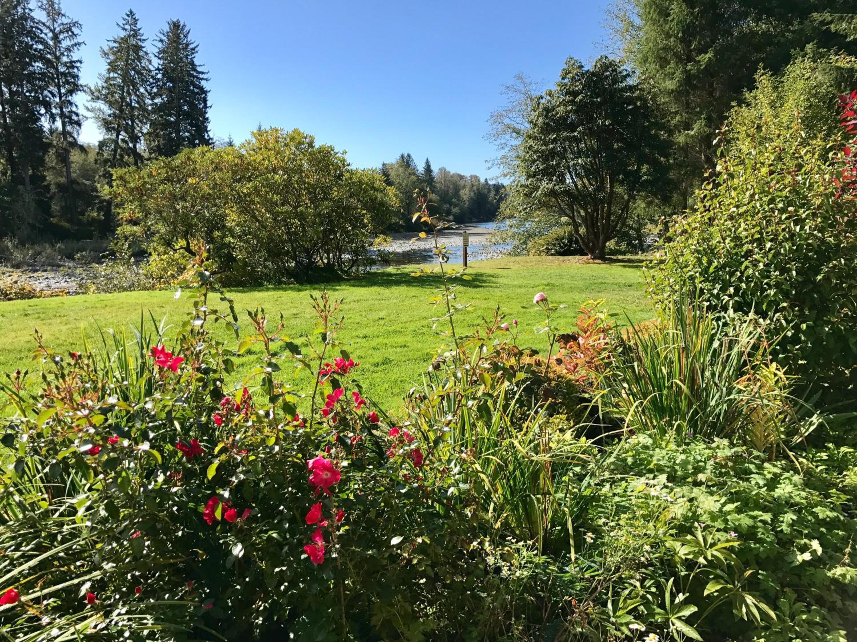 Quillayute River Resort view 2