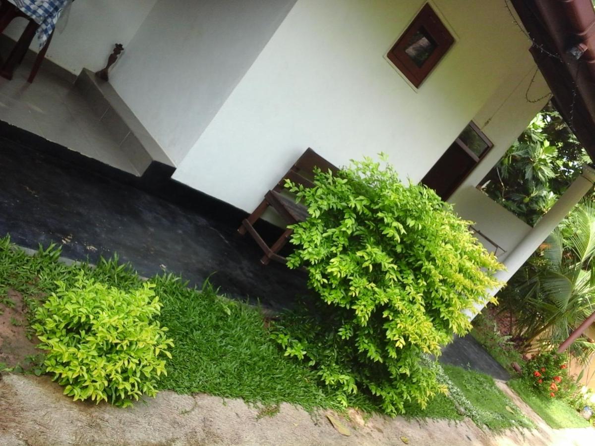 Himasha Guest