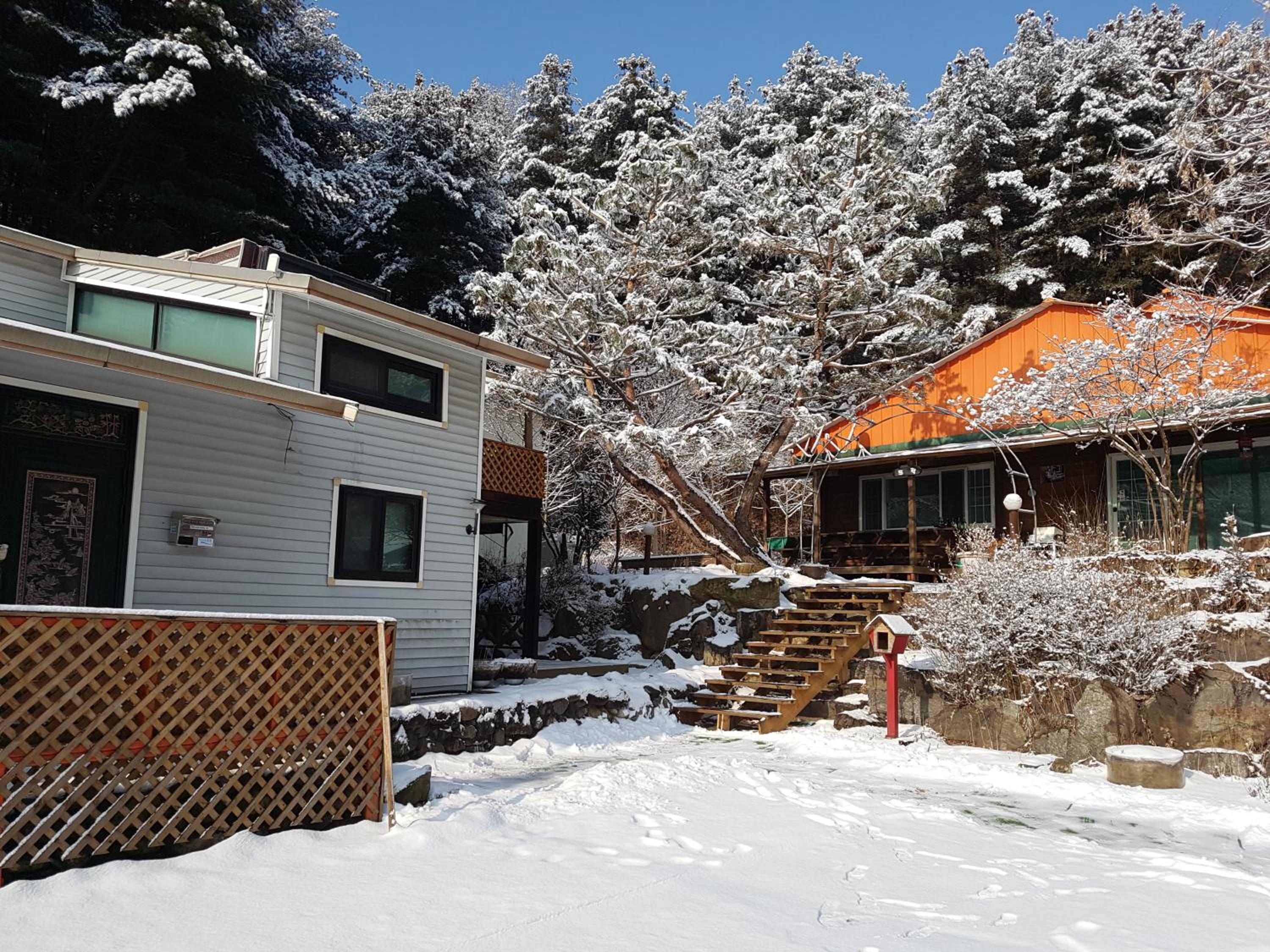 Bluesky Pension