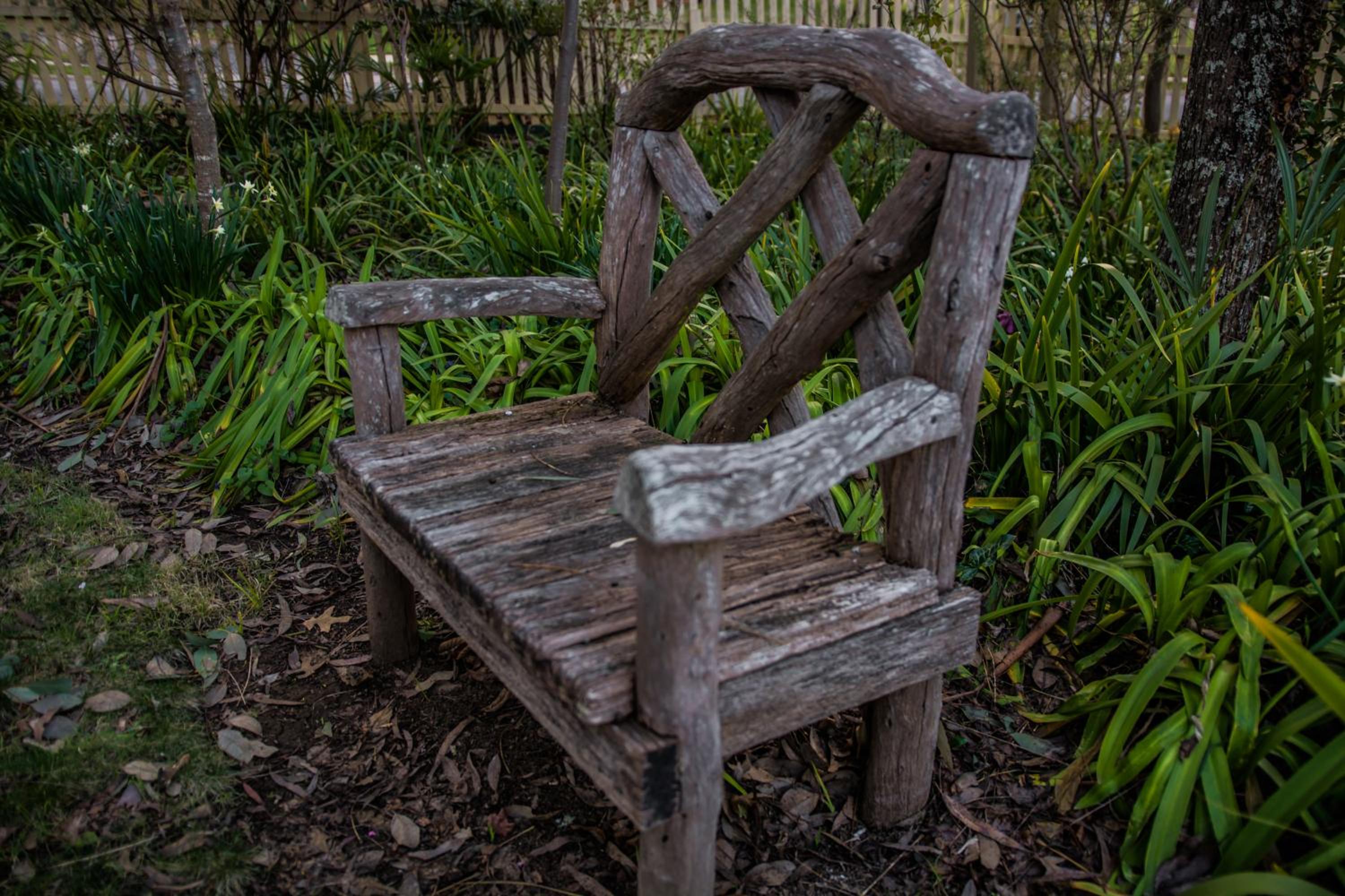Photo 23