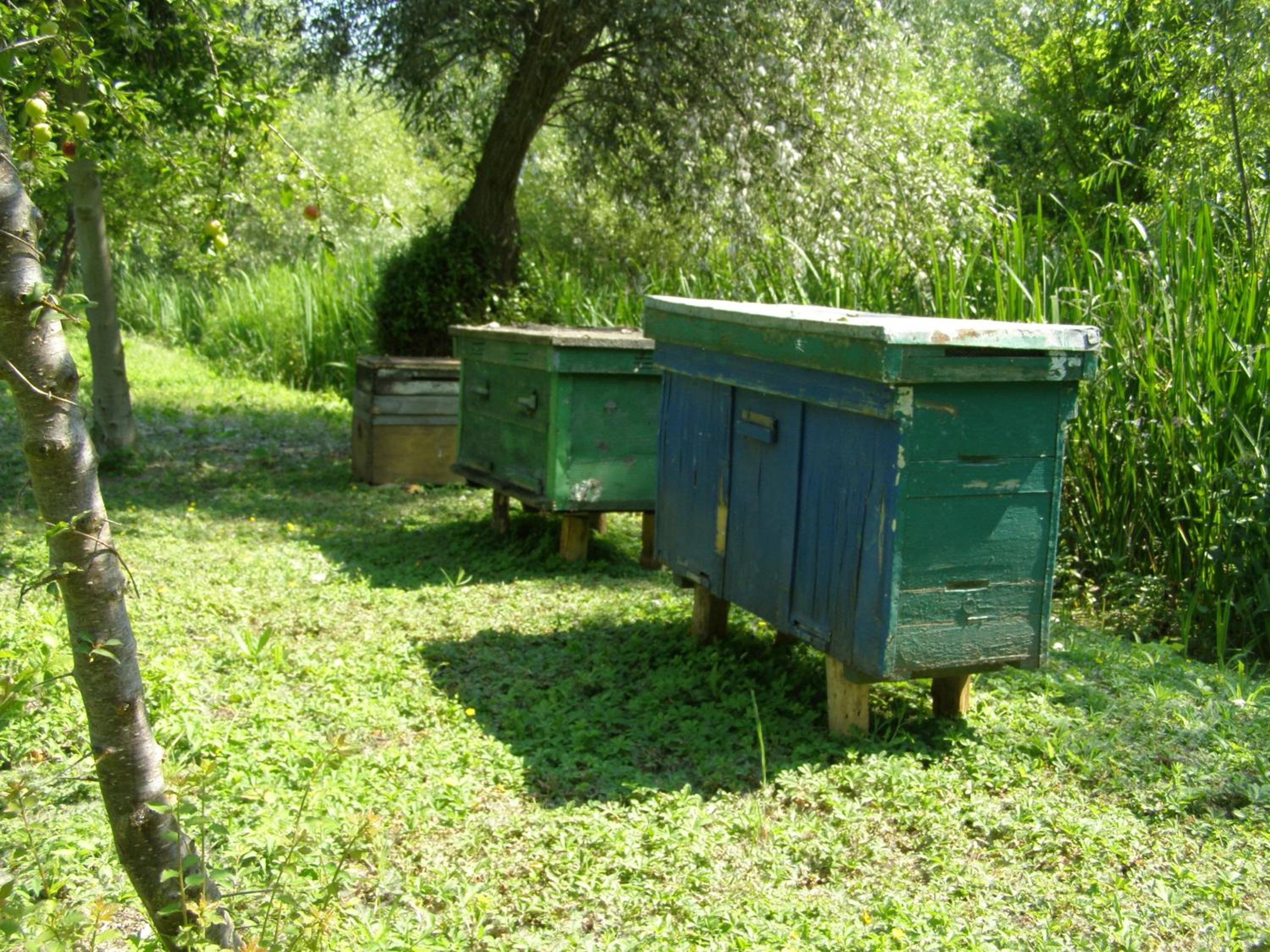 Photo 28