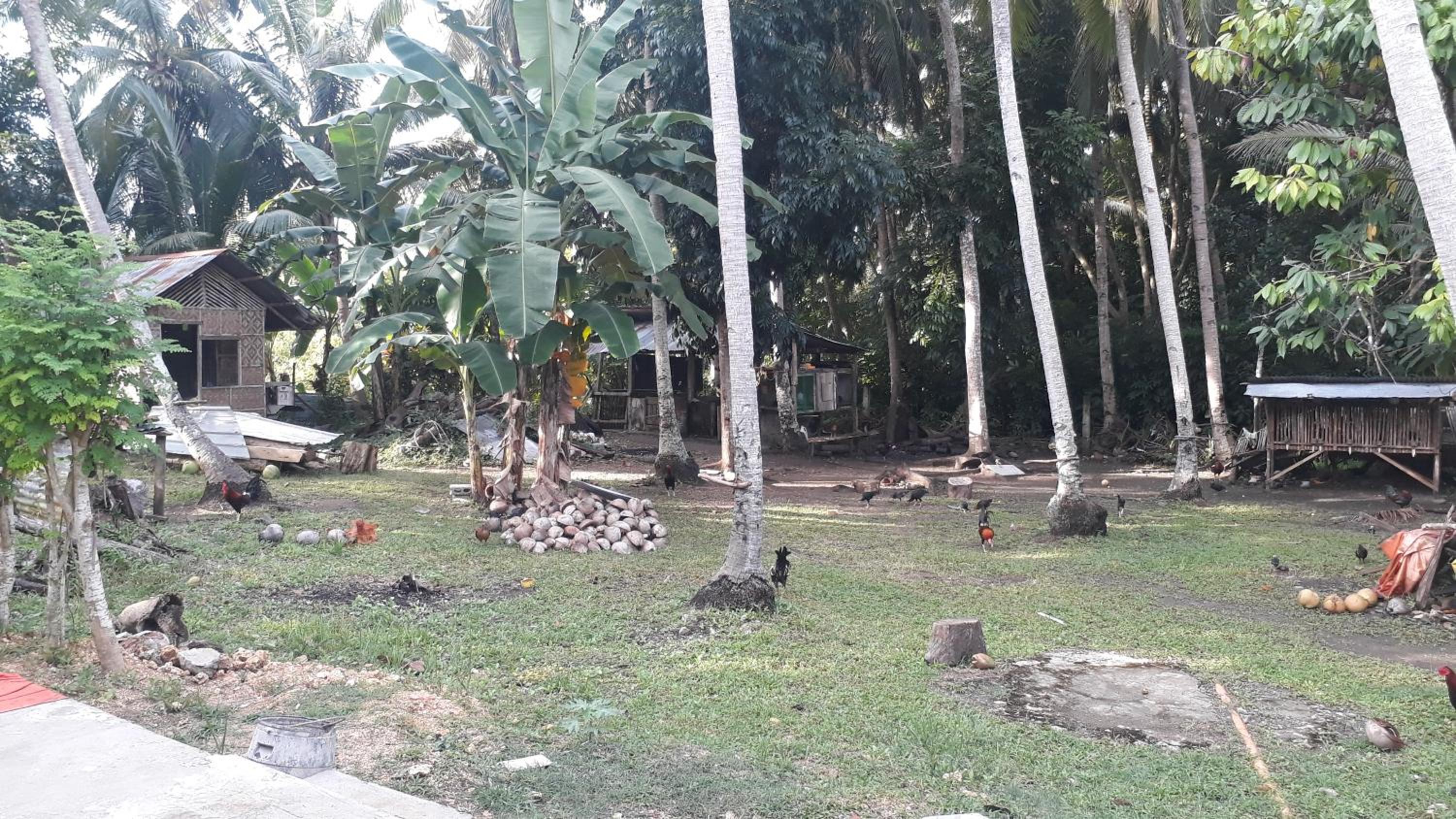 James Homestay