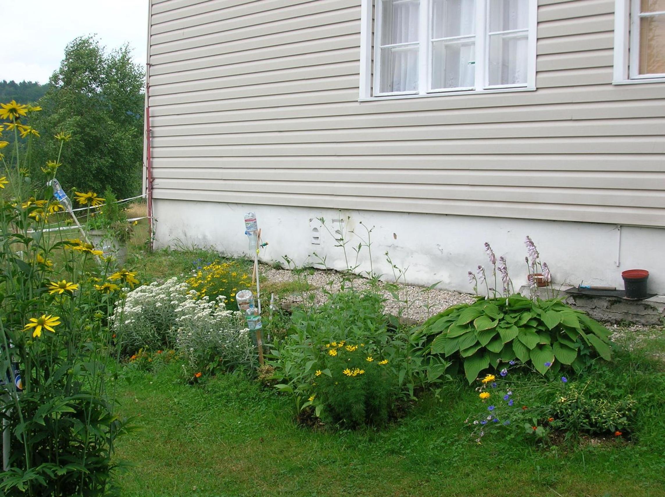Pension Panorama