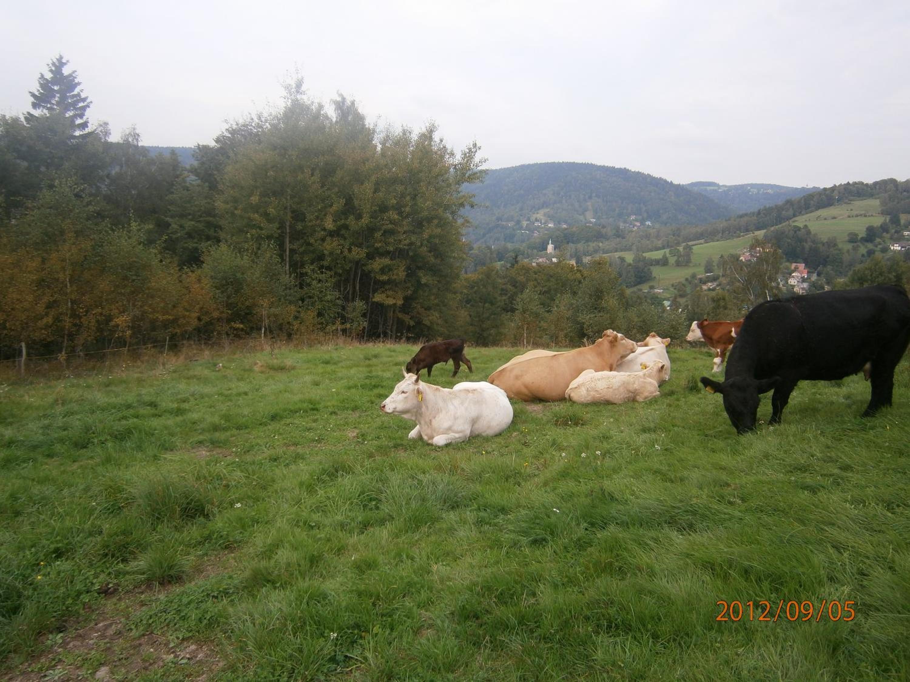 Pension Panorama