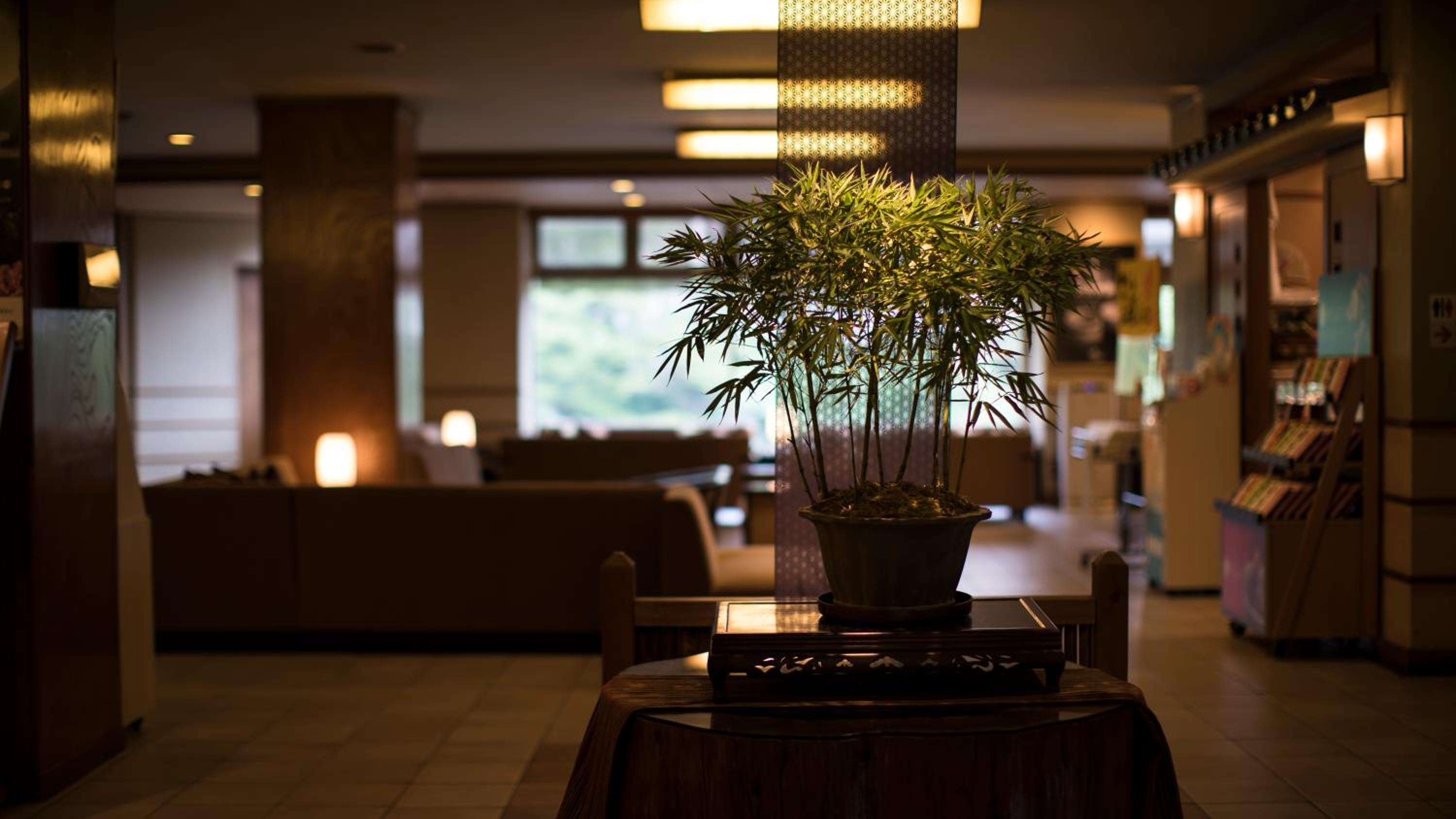 Hotel Shirakawa Yunokura view 3