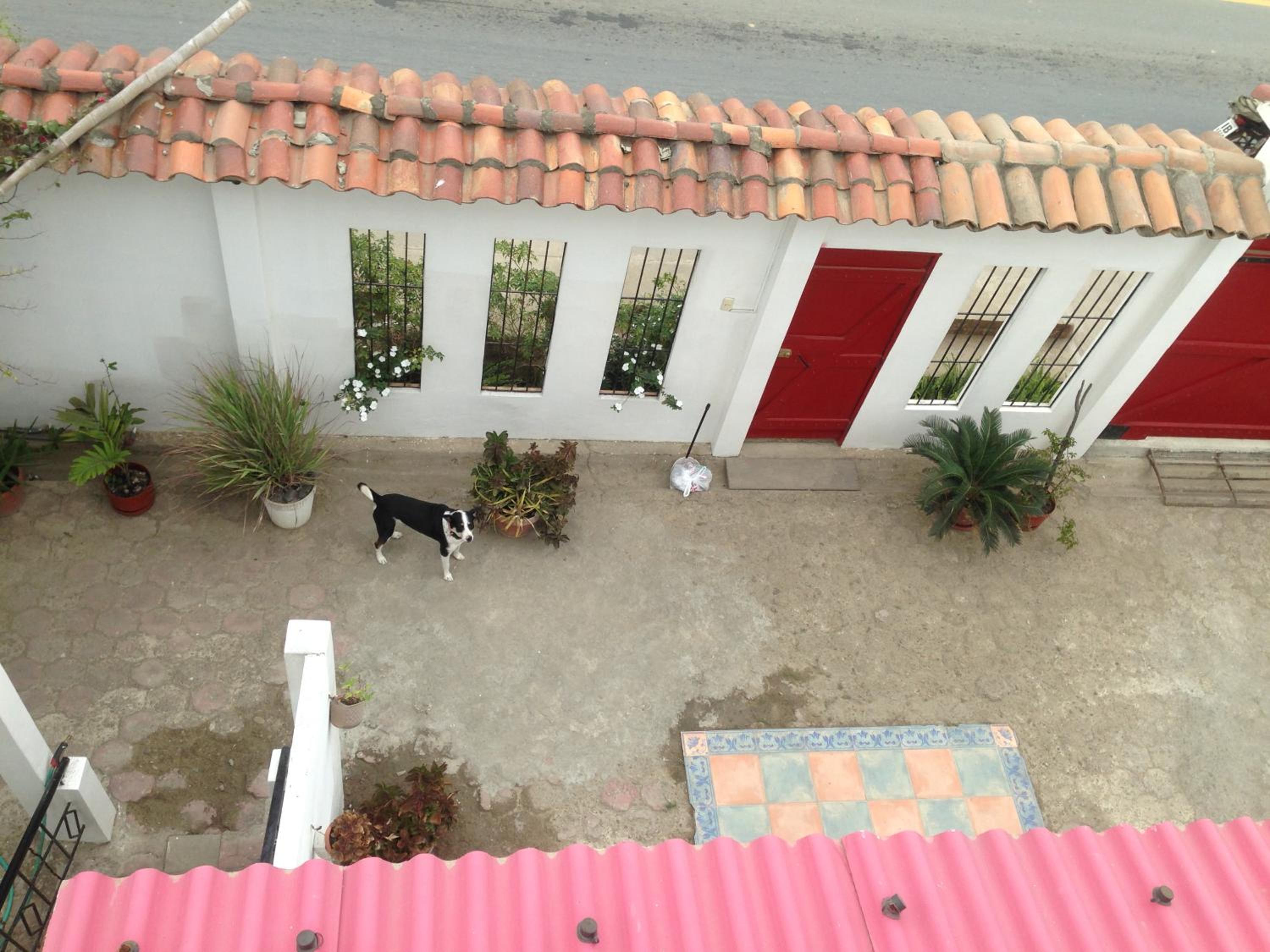 Photo 24