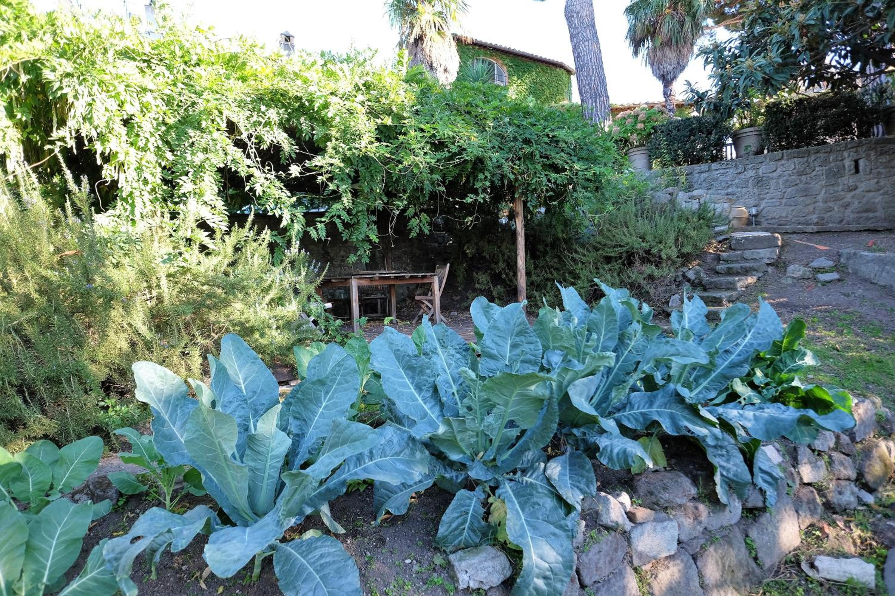 Photo 10