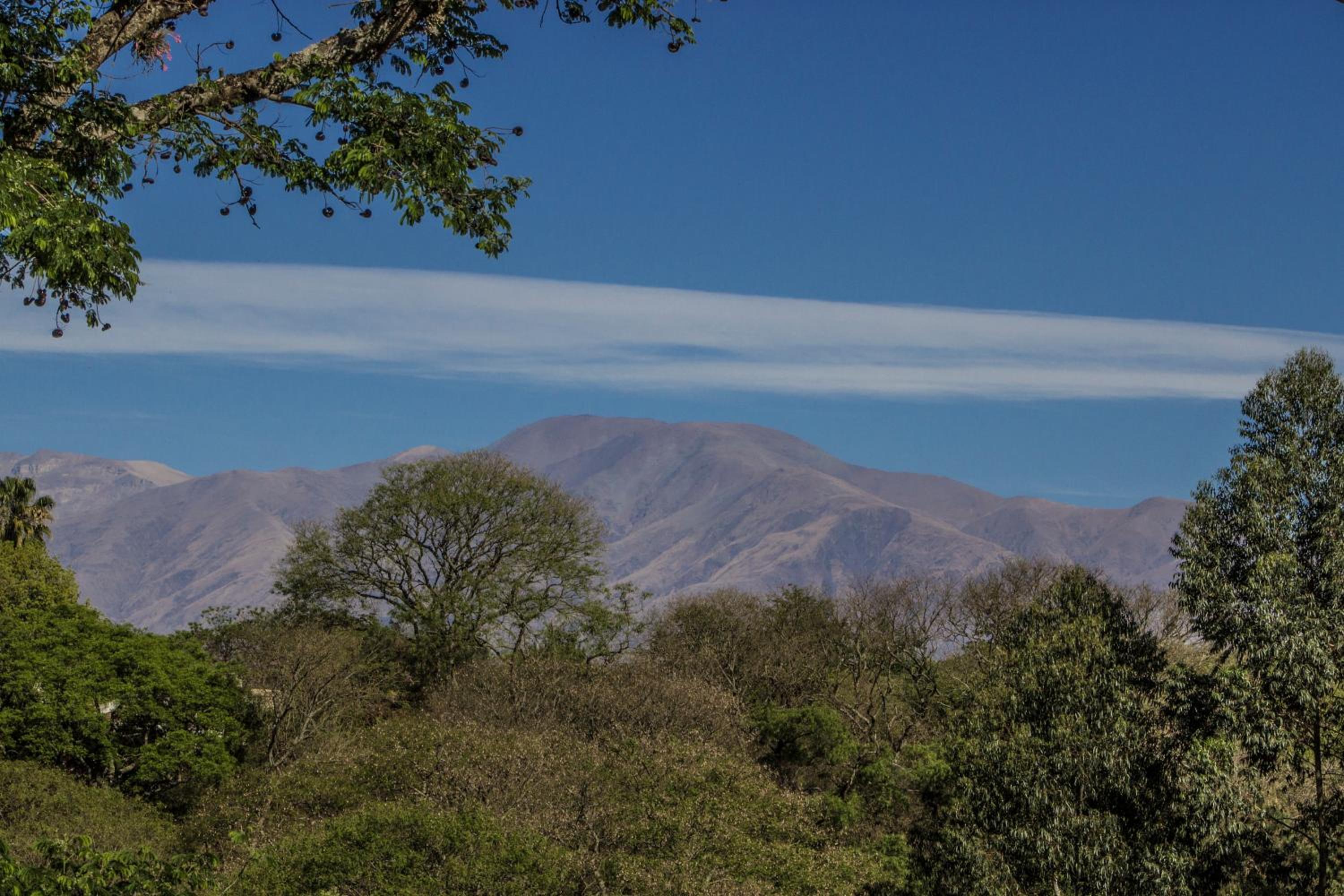 Cabañas Rosaverde