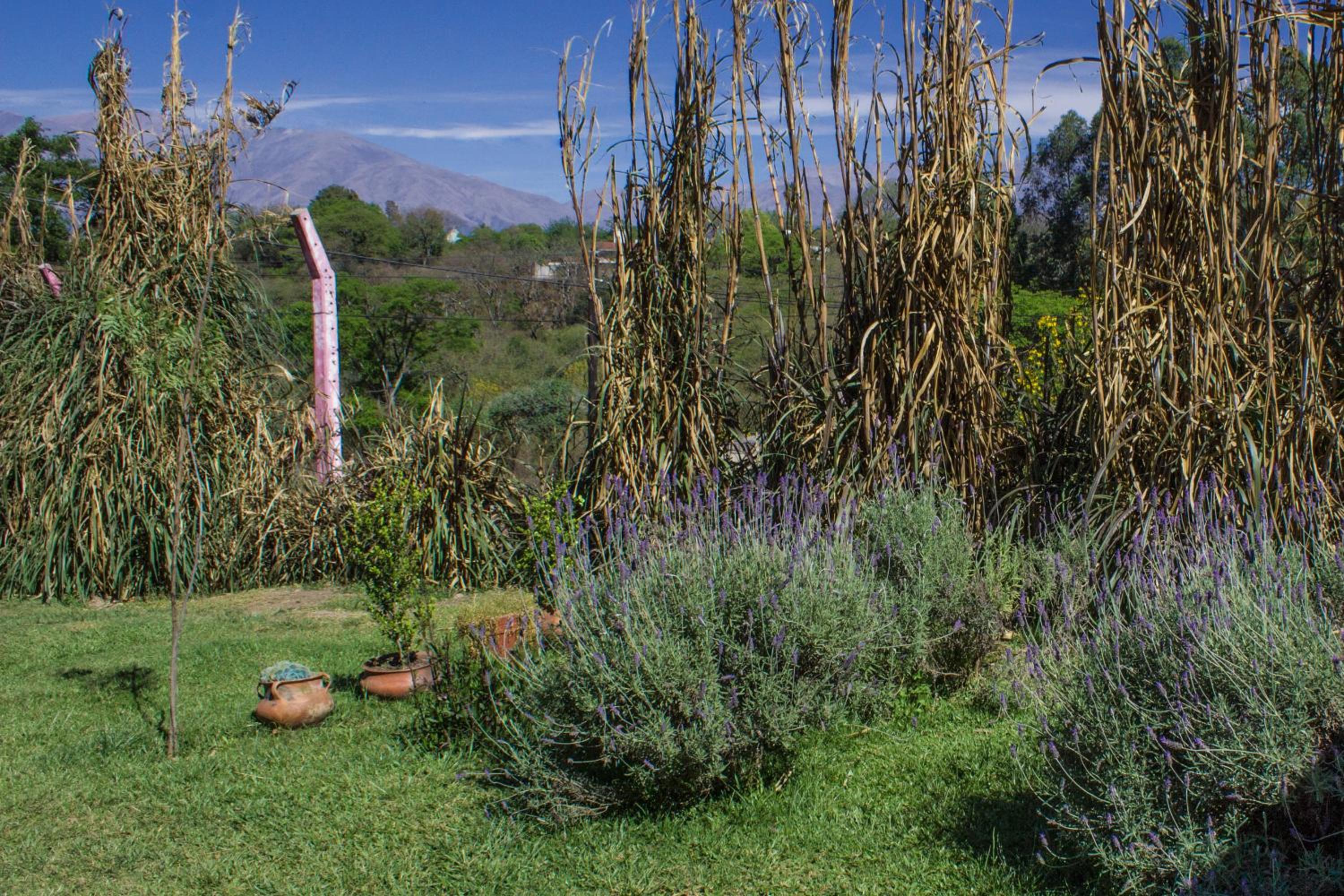 Cabañas Rosaverde