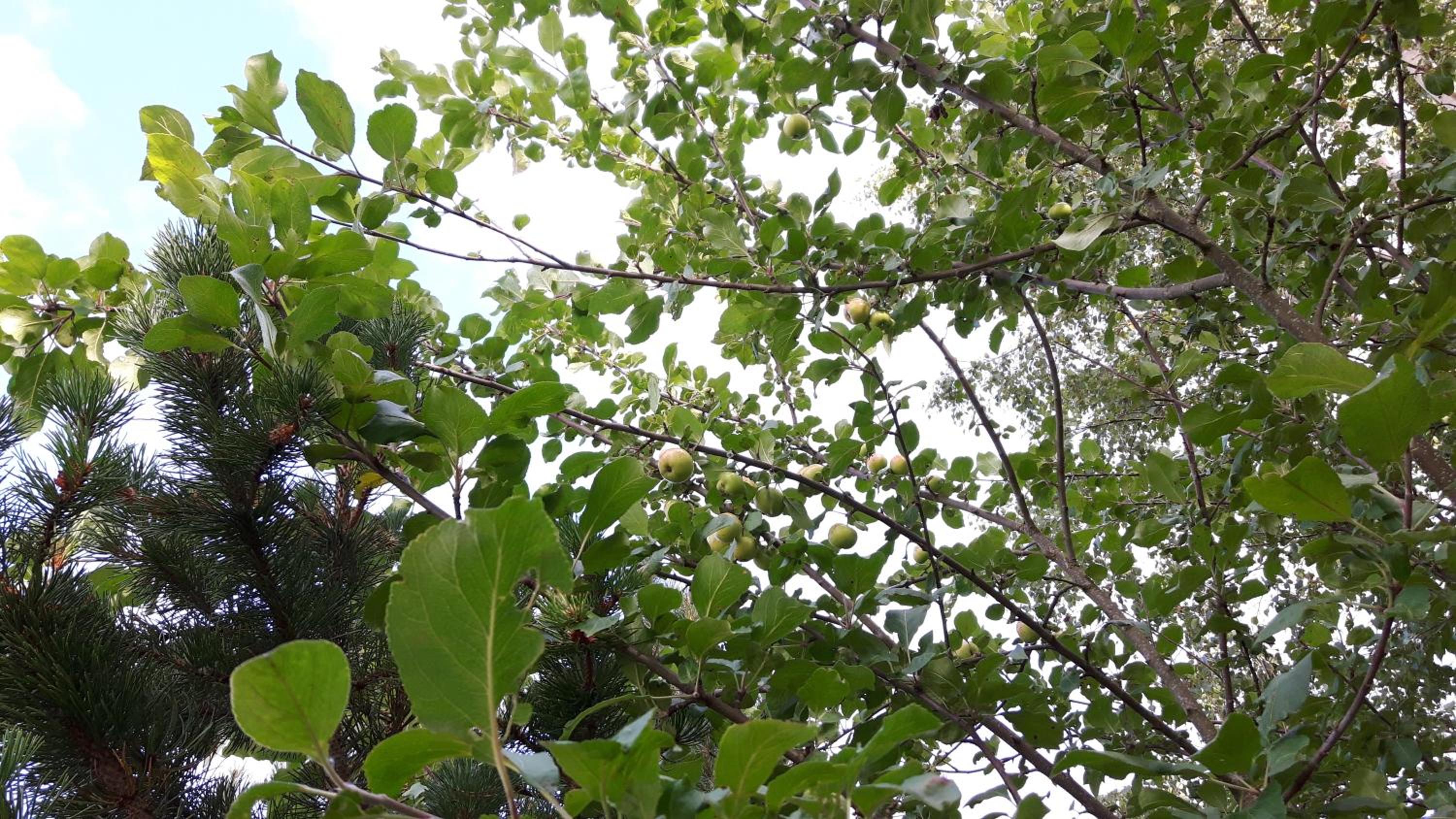 Photo 23