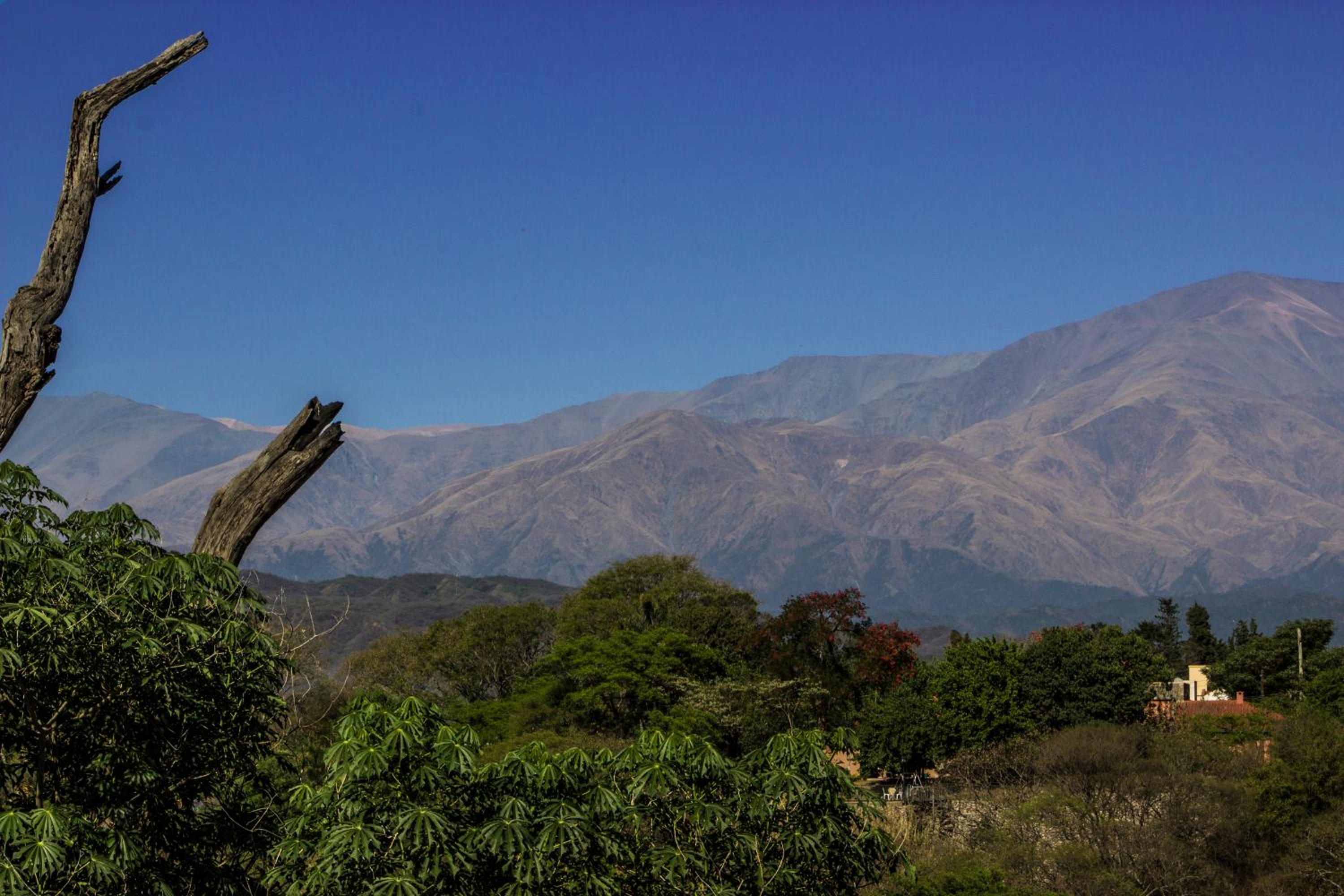 Cabañas Rosaverde