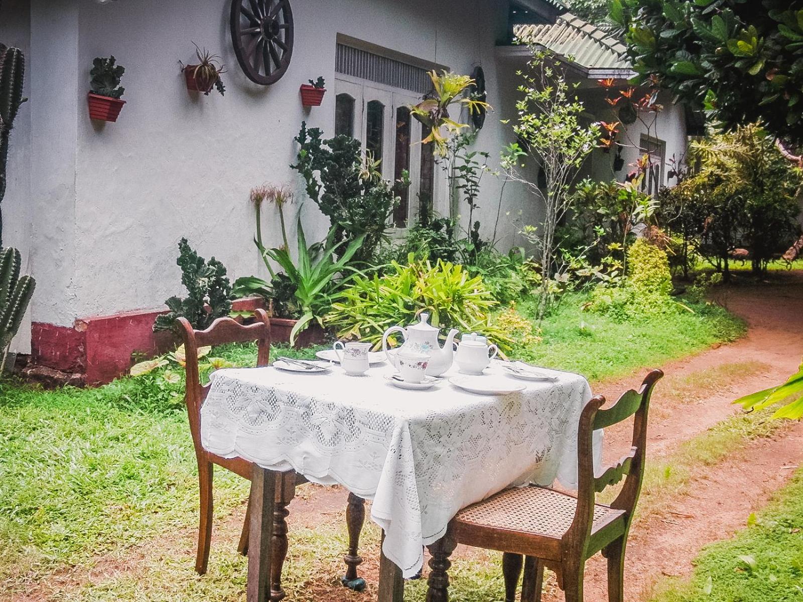 Shammie Guest House view 2