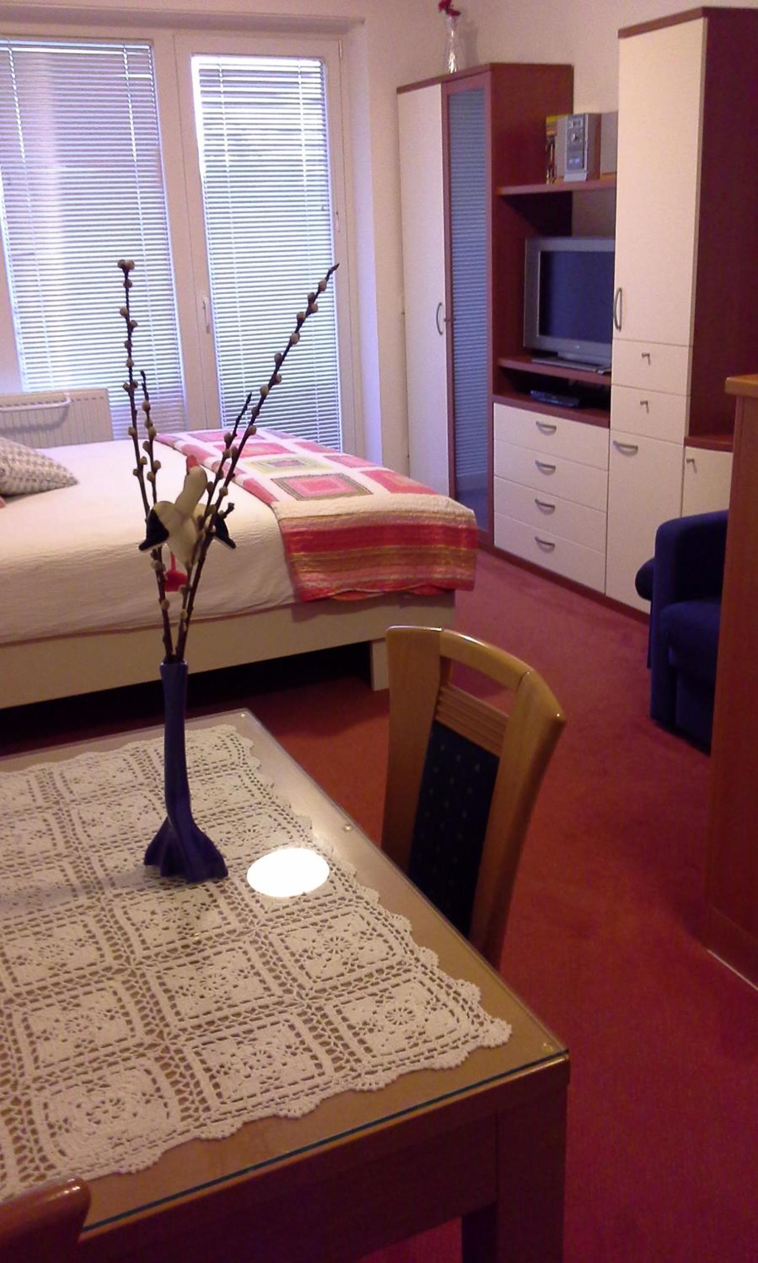Apartment Maja Moravske Toplice view 5