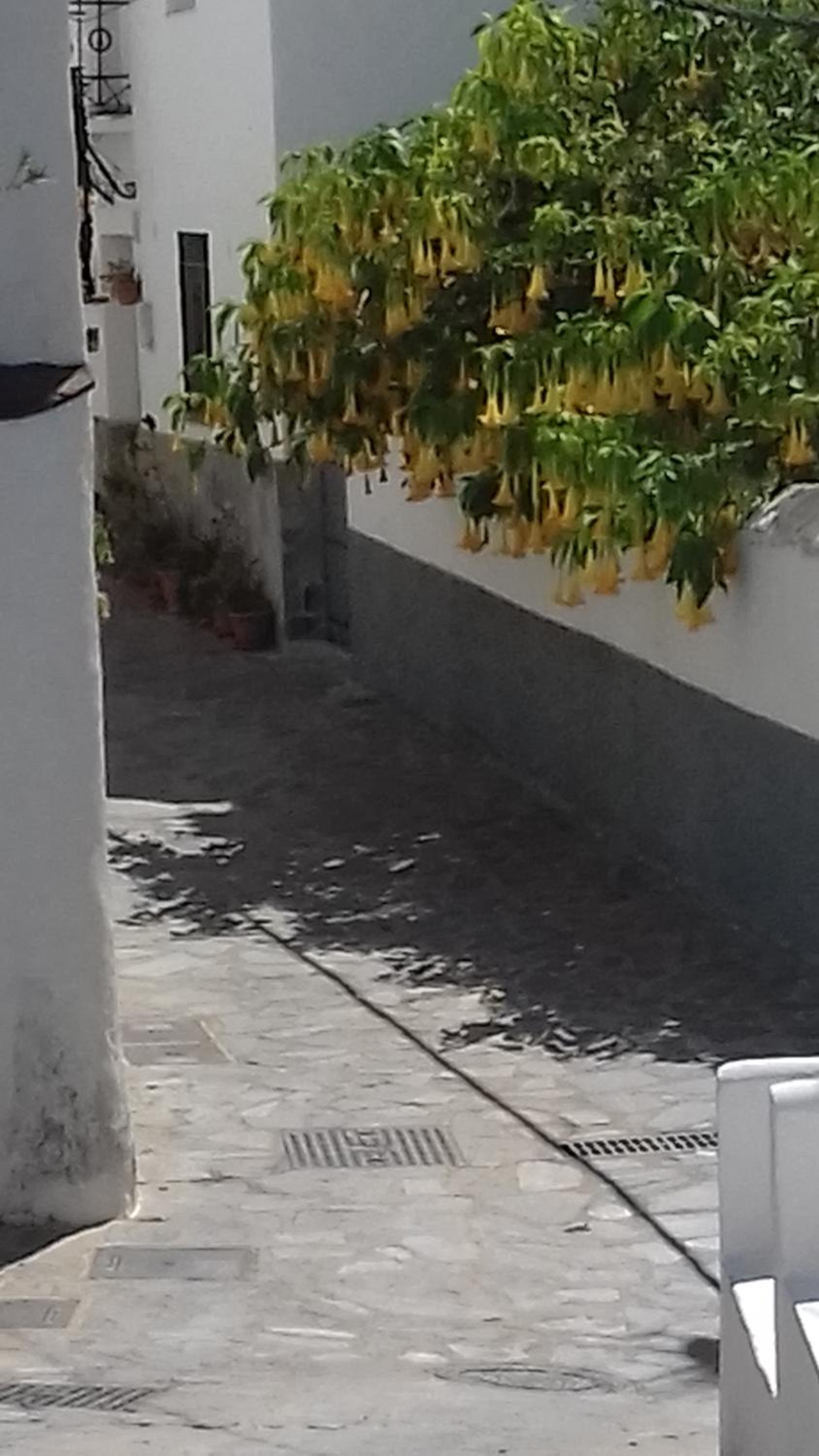 Casa Antoñita view 4