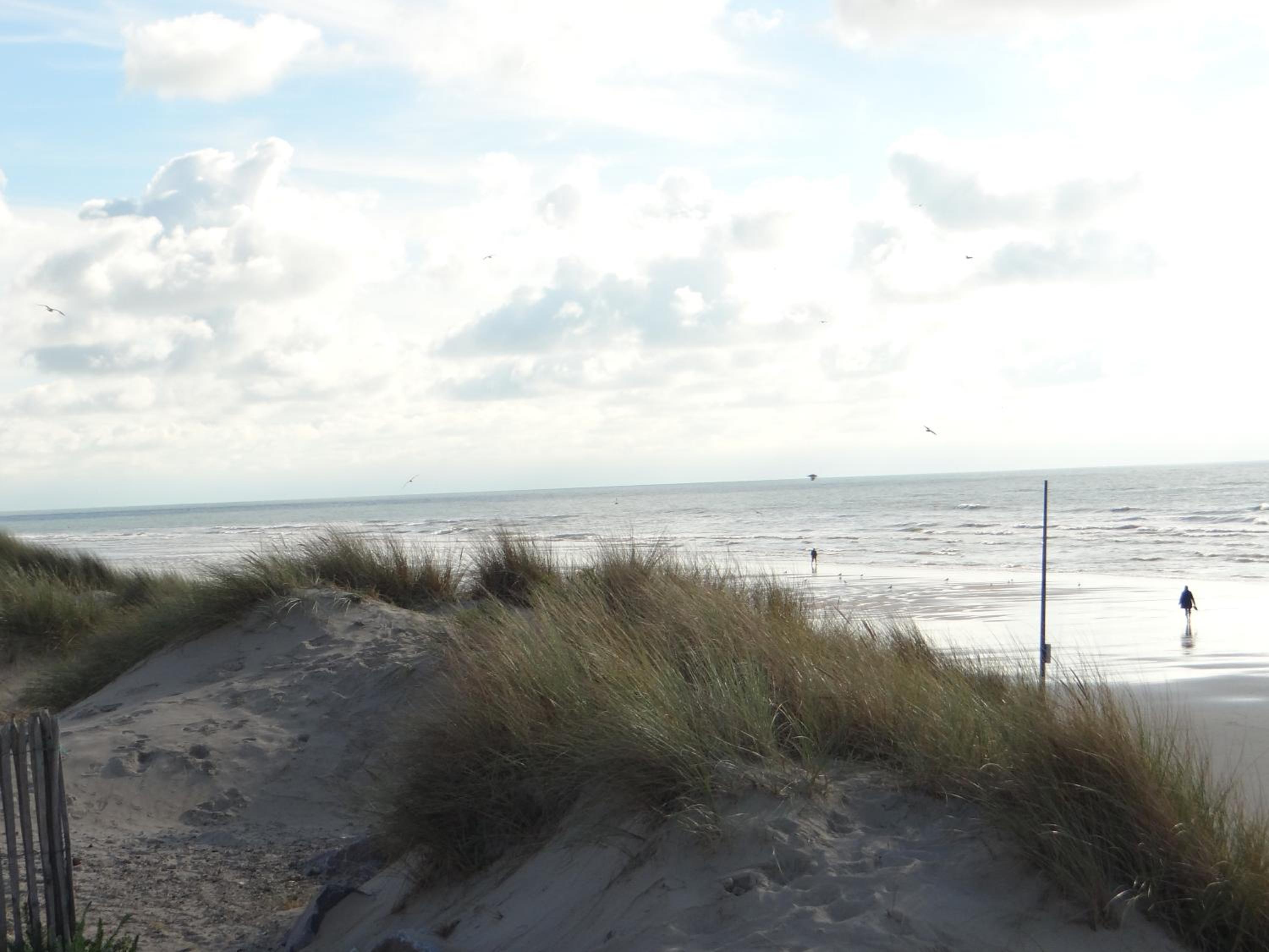 Photo 45