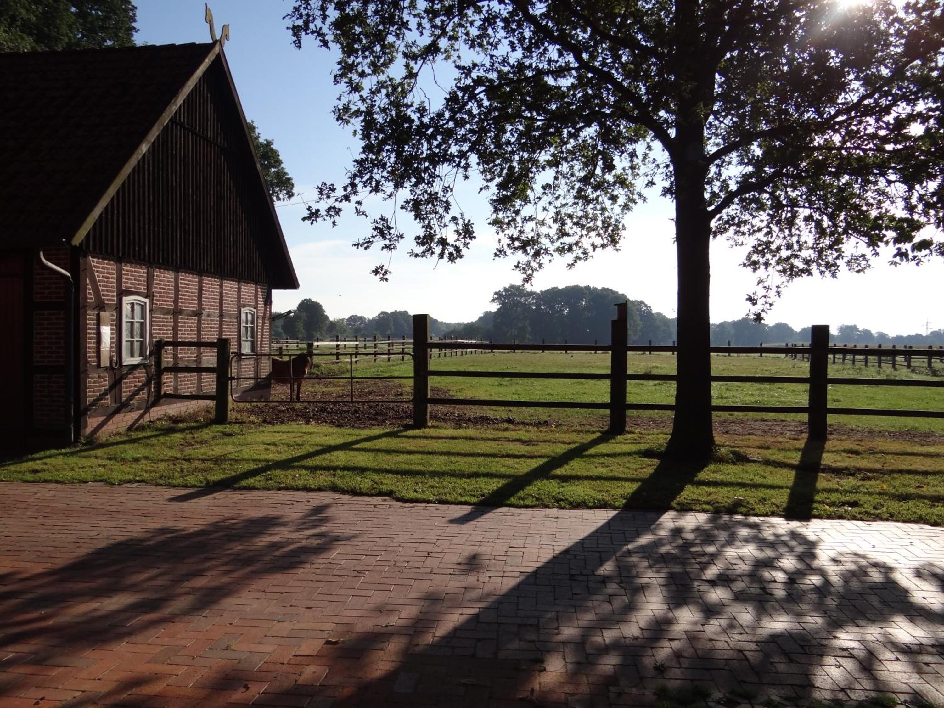 Ferienhaus Poppe