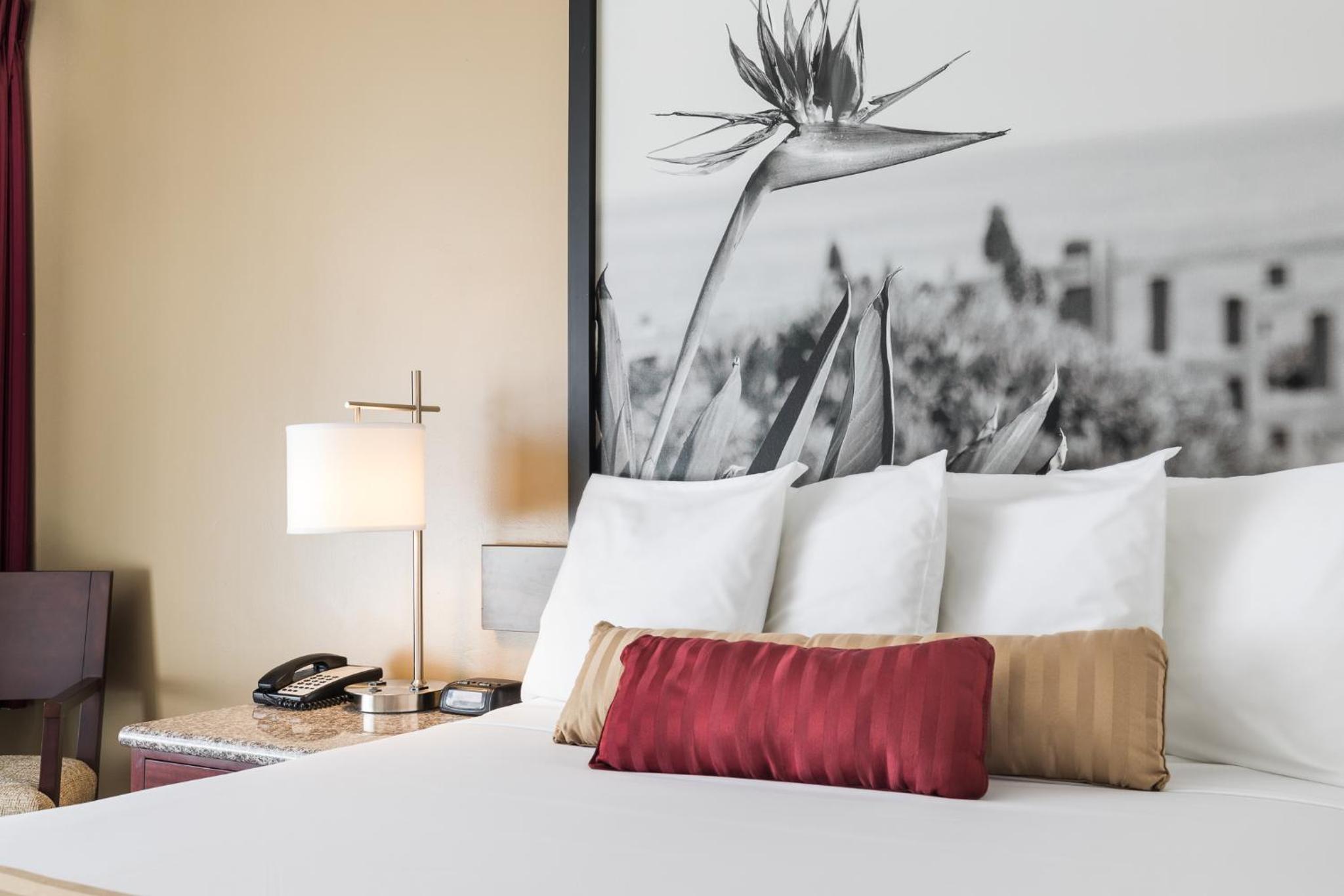 Orange County/Anaheim Vacations - Kings Inn Anaheim at The Park Convention Center - Property Image 19