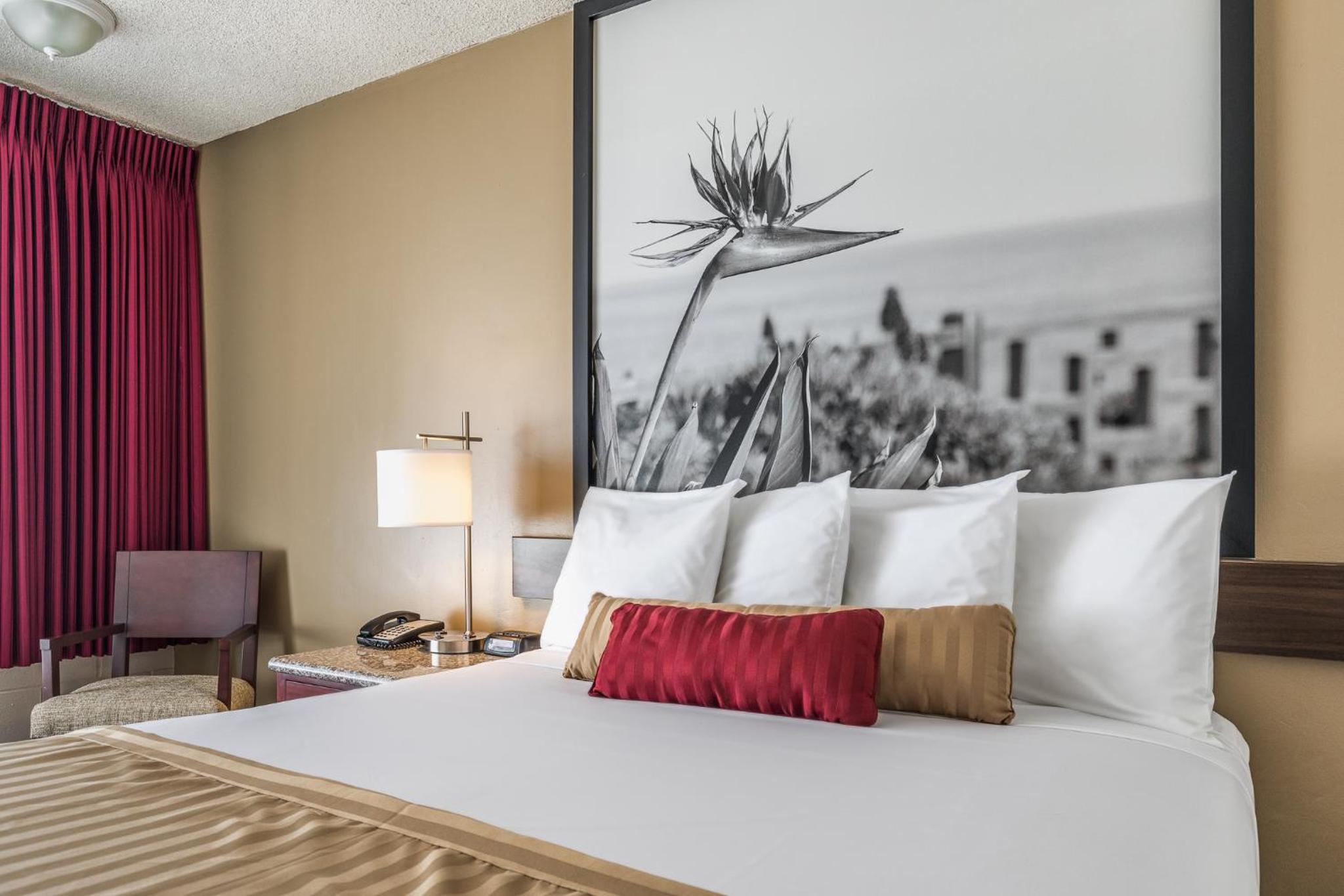 Orange County/Anaheim Vacations - Kings Inn Anaheim at The Park Convention Center - Property Image 20