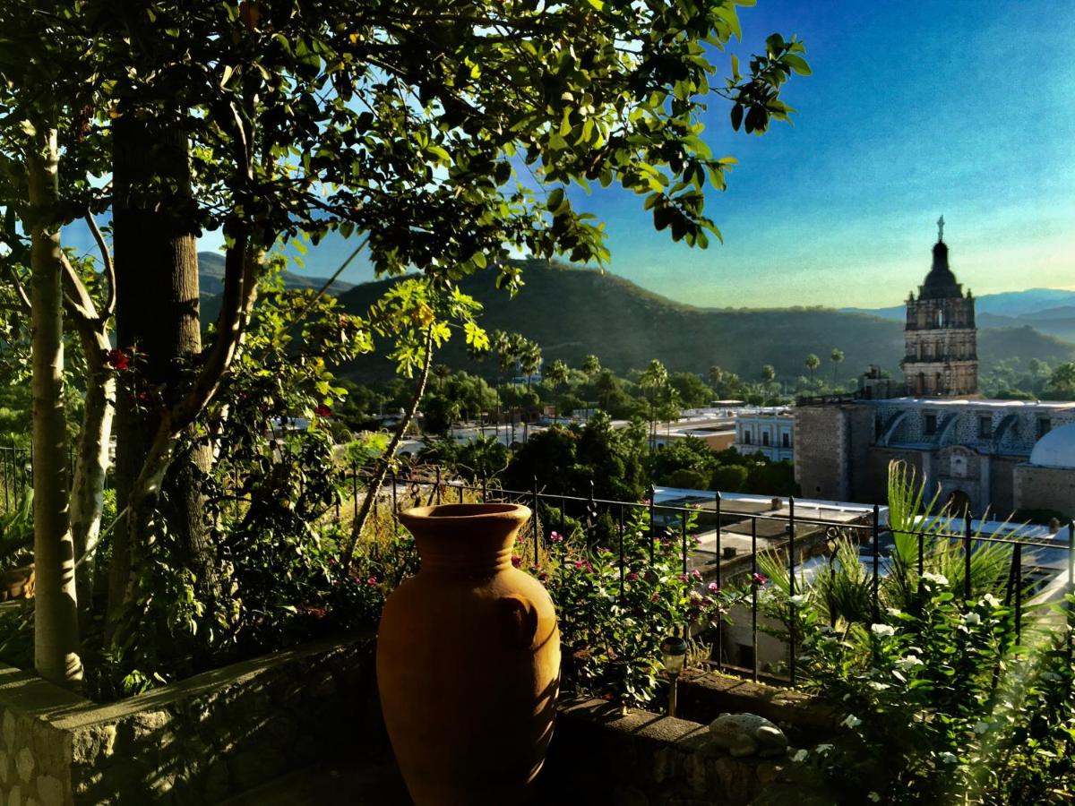 Serena Vista, photo 12