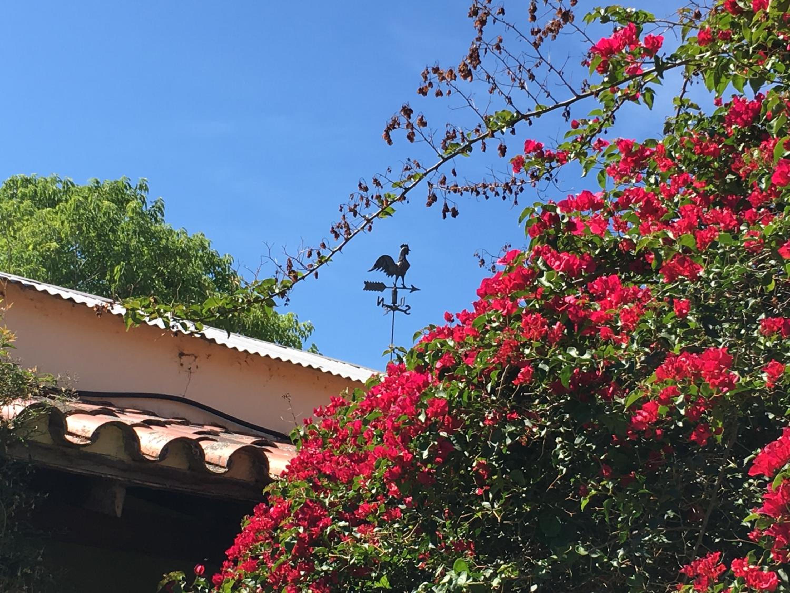 La Posada De Juan