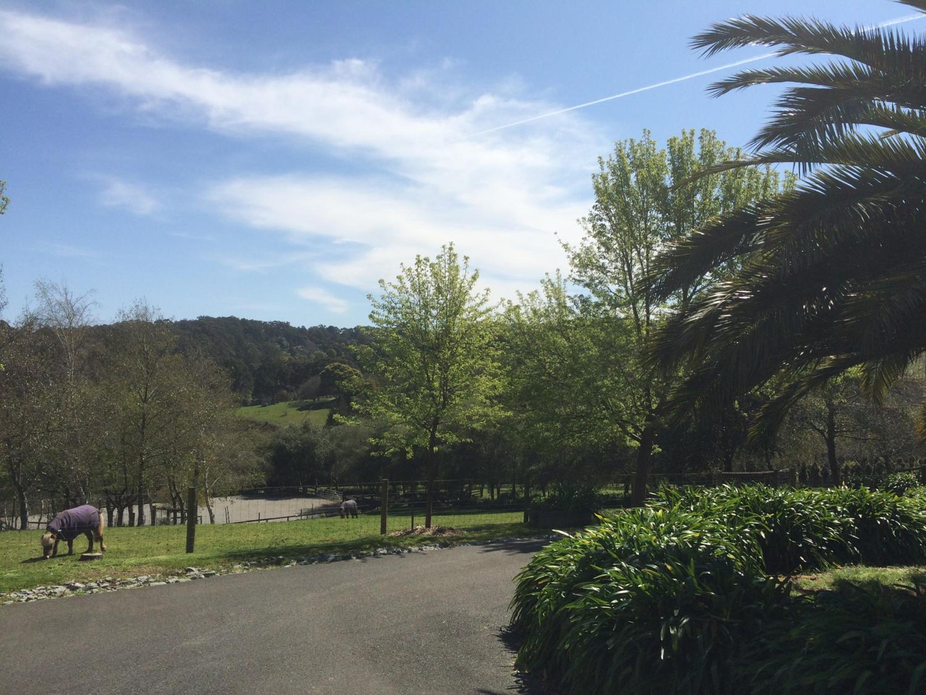 Emerald Ridge
