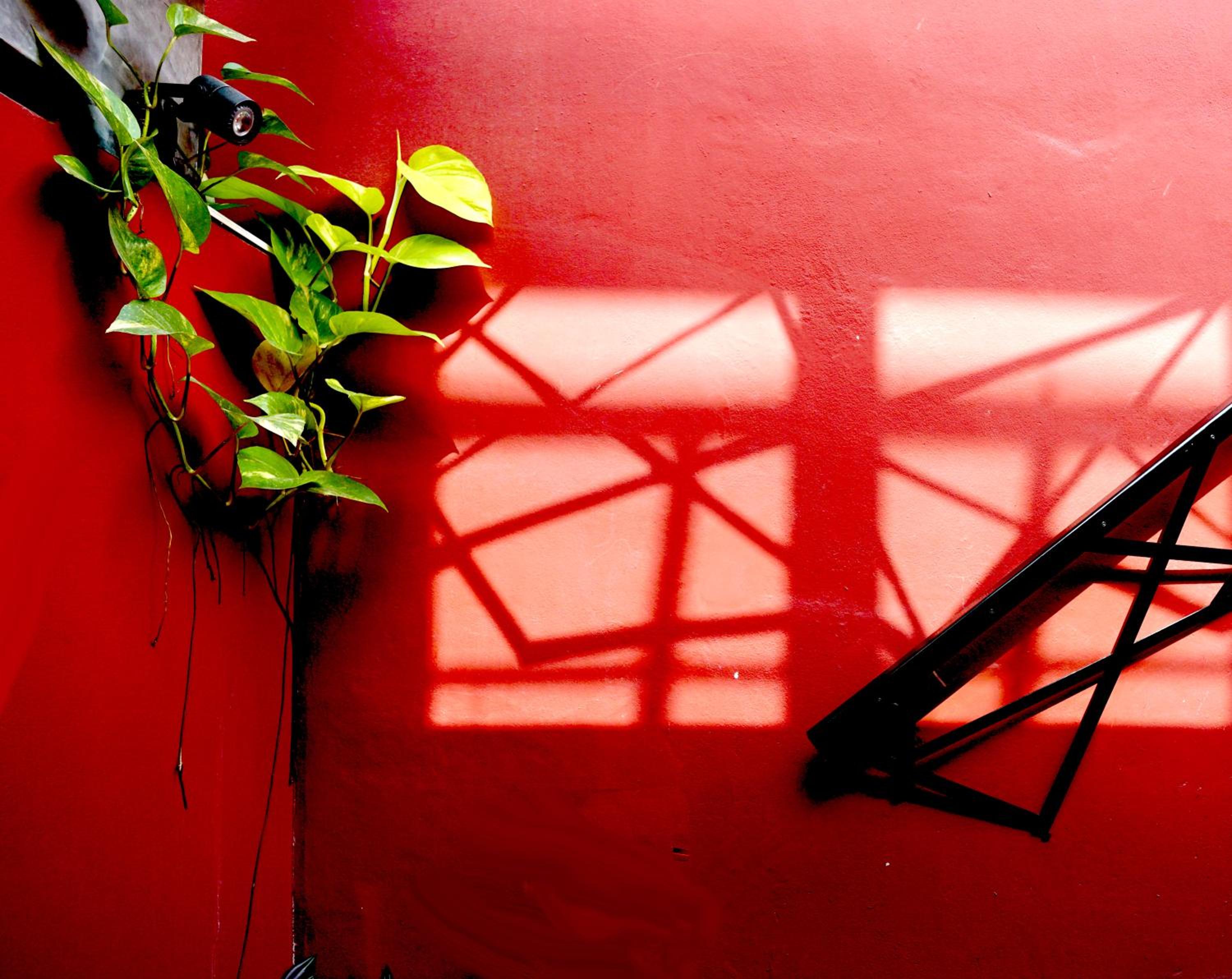 Phuket Paradiso, photo 80