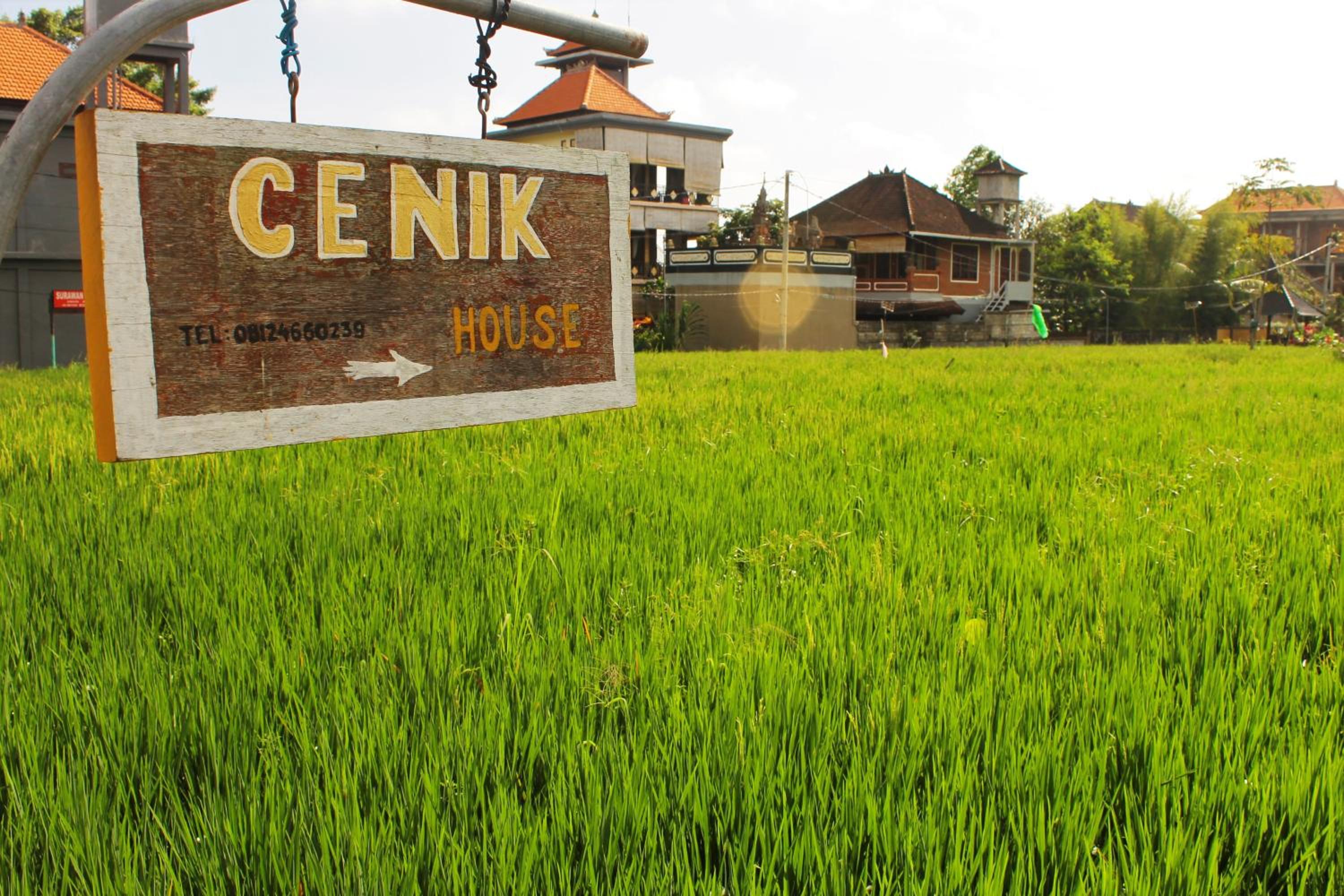 Cenik House Ubud view 2