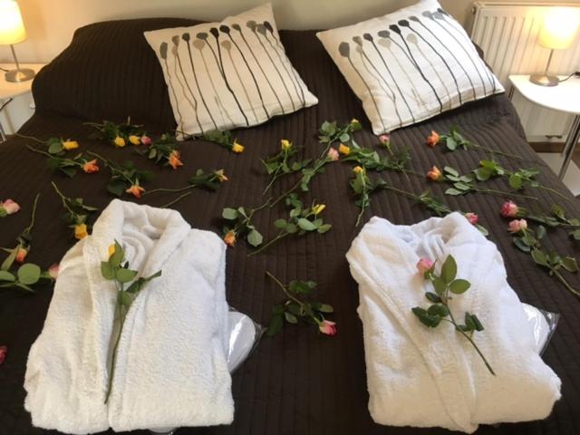 Apartmány Comfort