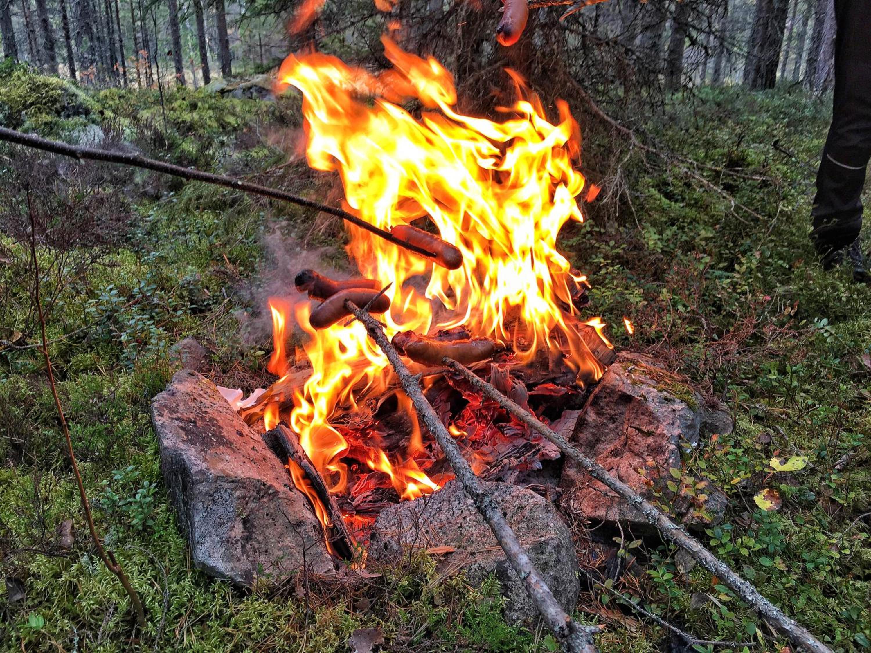 Photo 33