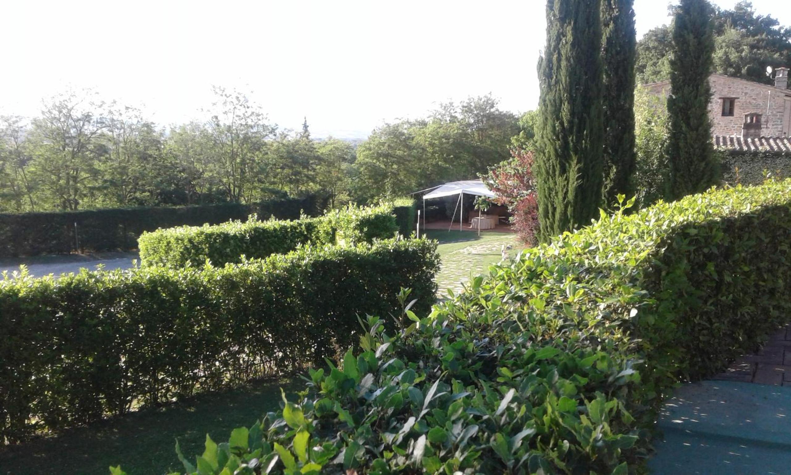 Photo 49