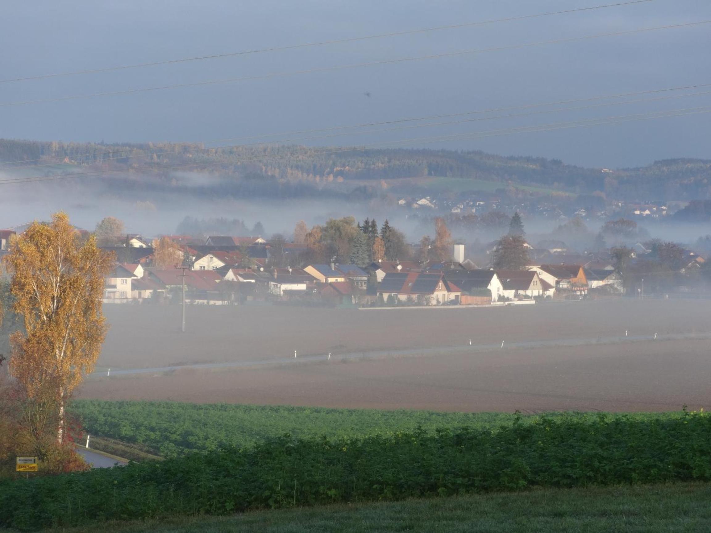 Ferienhof Bimesmeier view 4