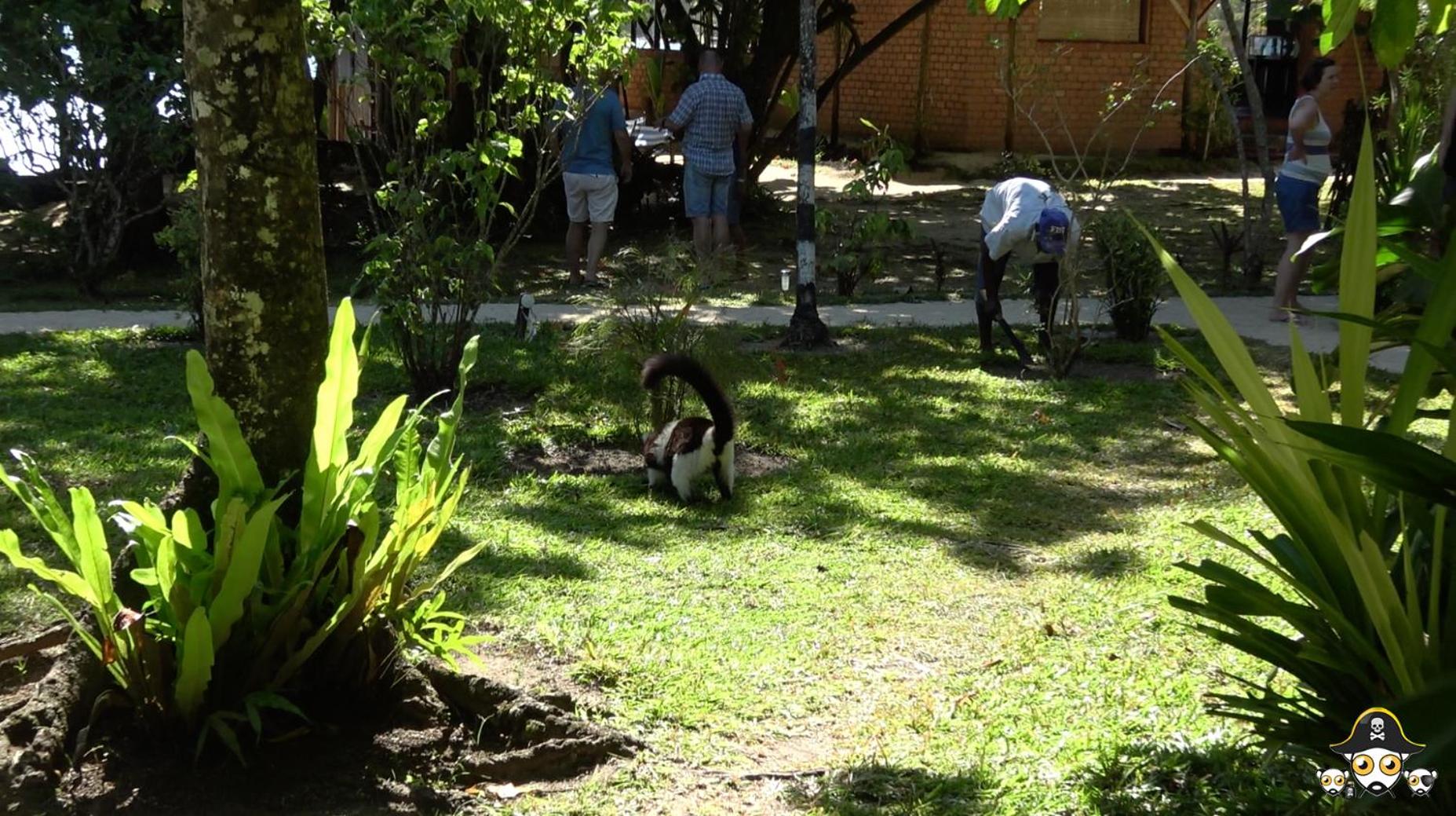 Photo 40