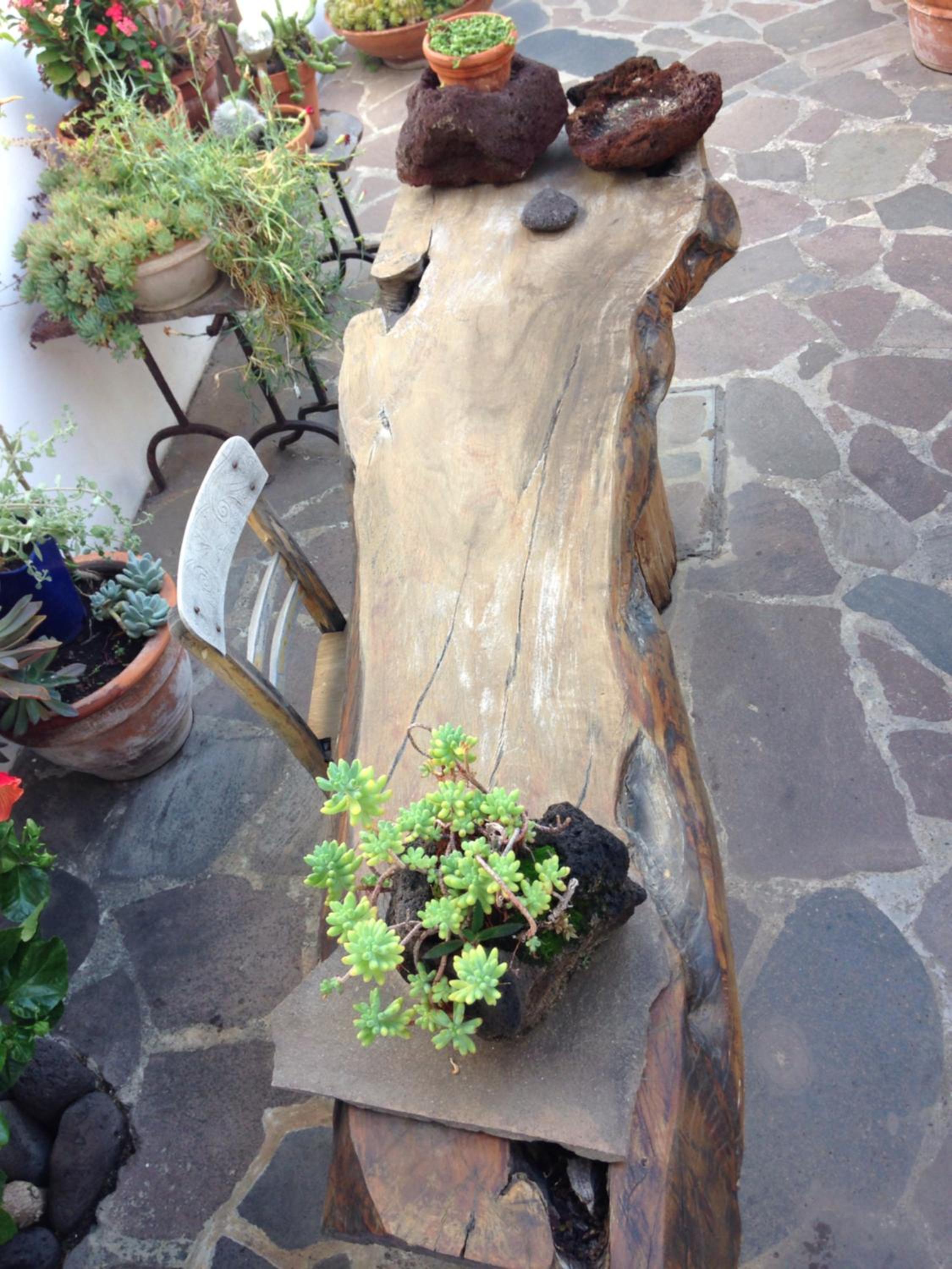 Photo 22