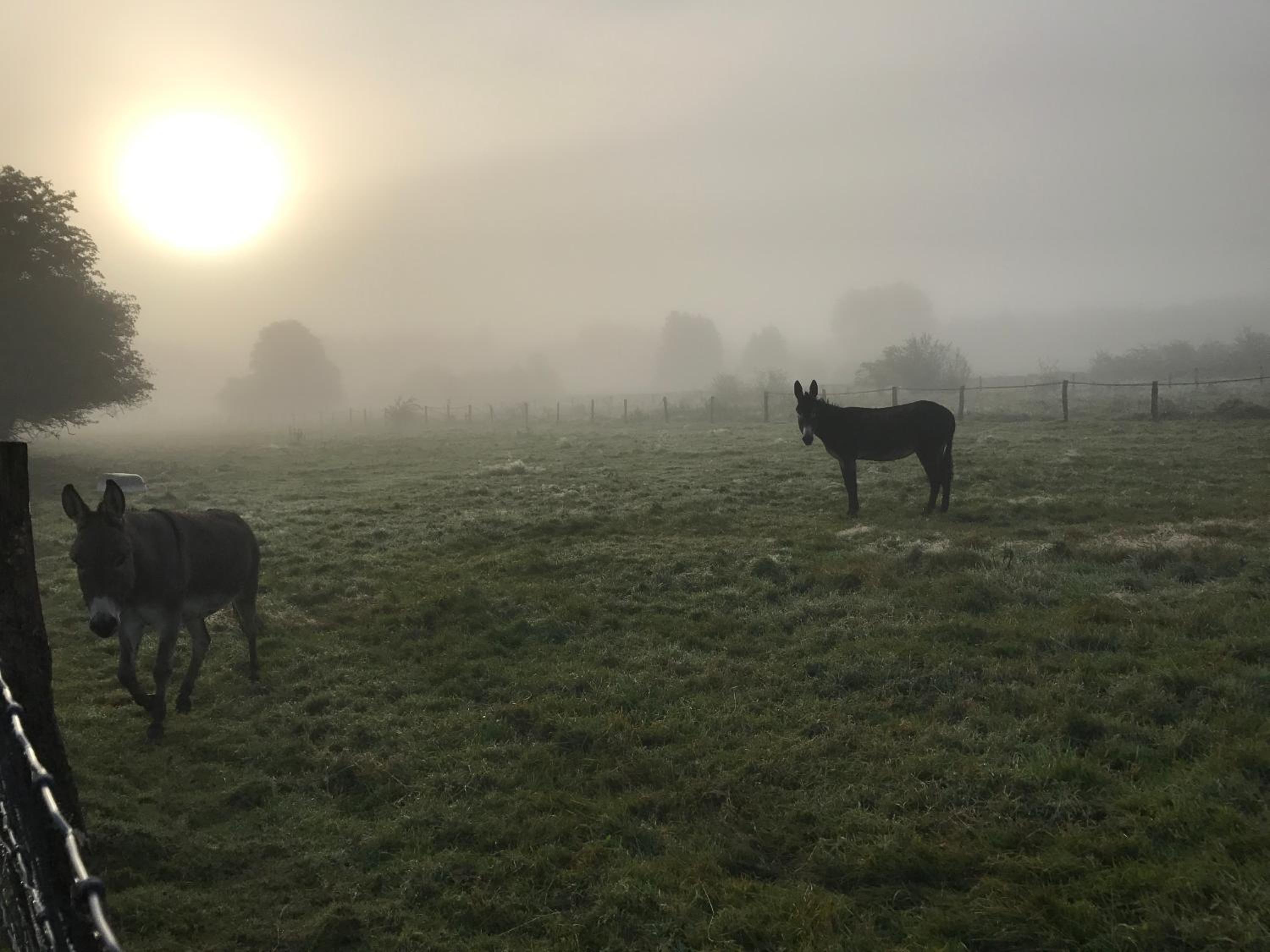 L'anerie de Sourbrodt