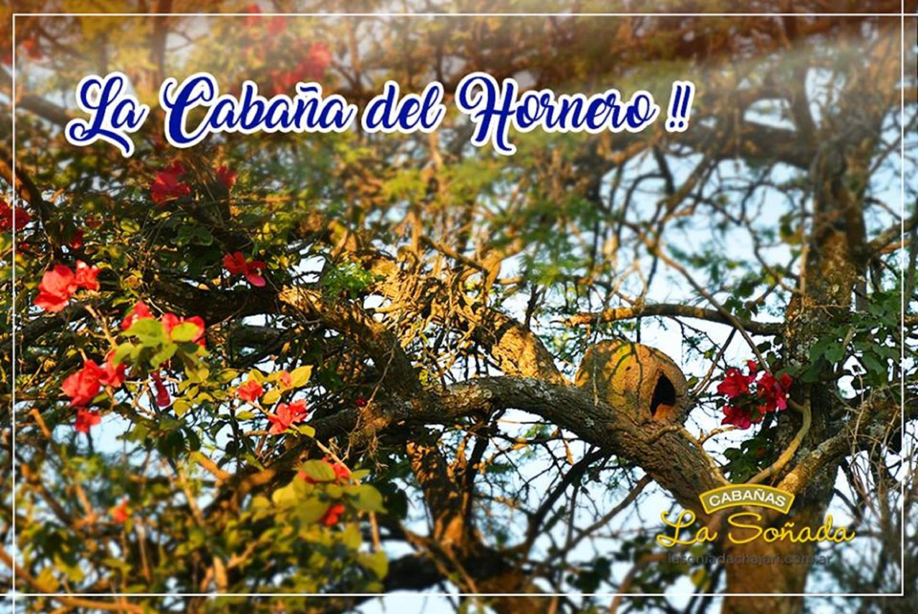 Cabañas La Soñada