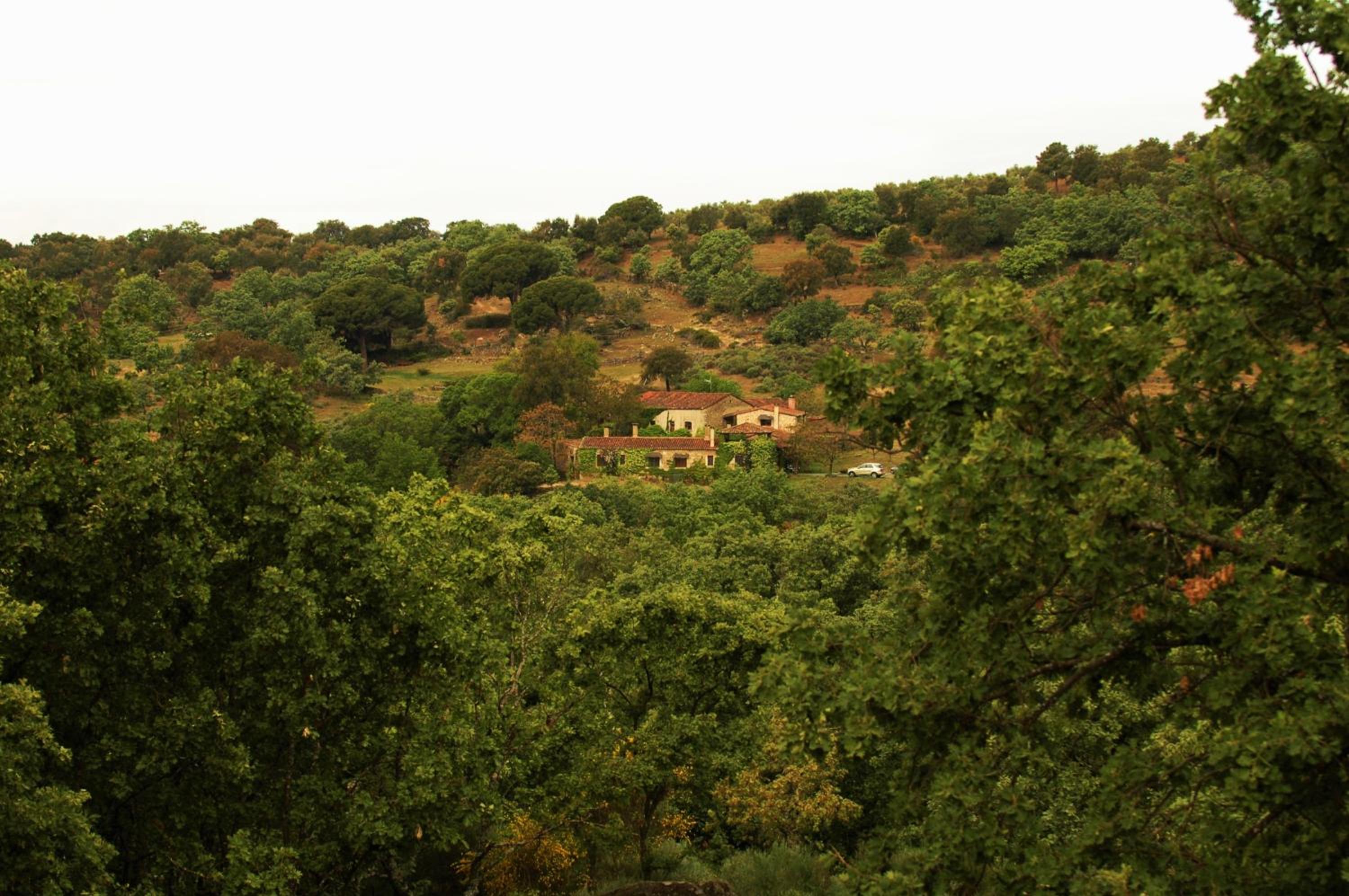 Casa Rural El Cabezo de Sierra de Gata