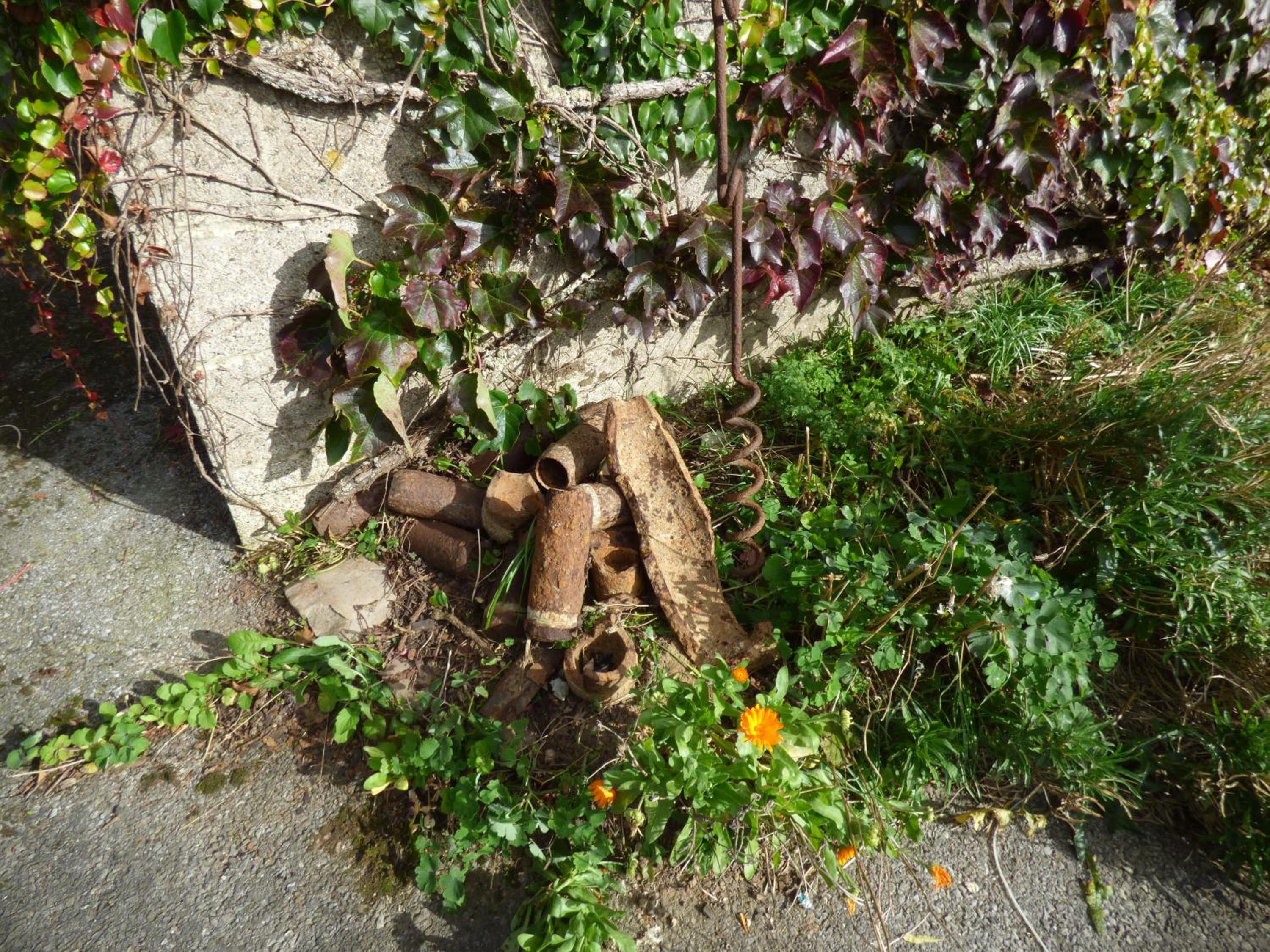 Photo 10