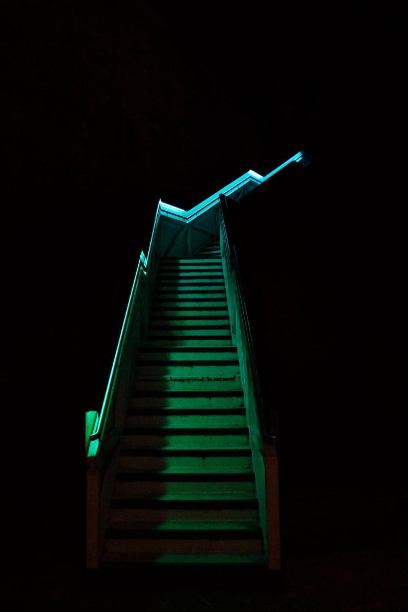 Photo 50