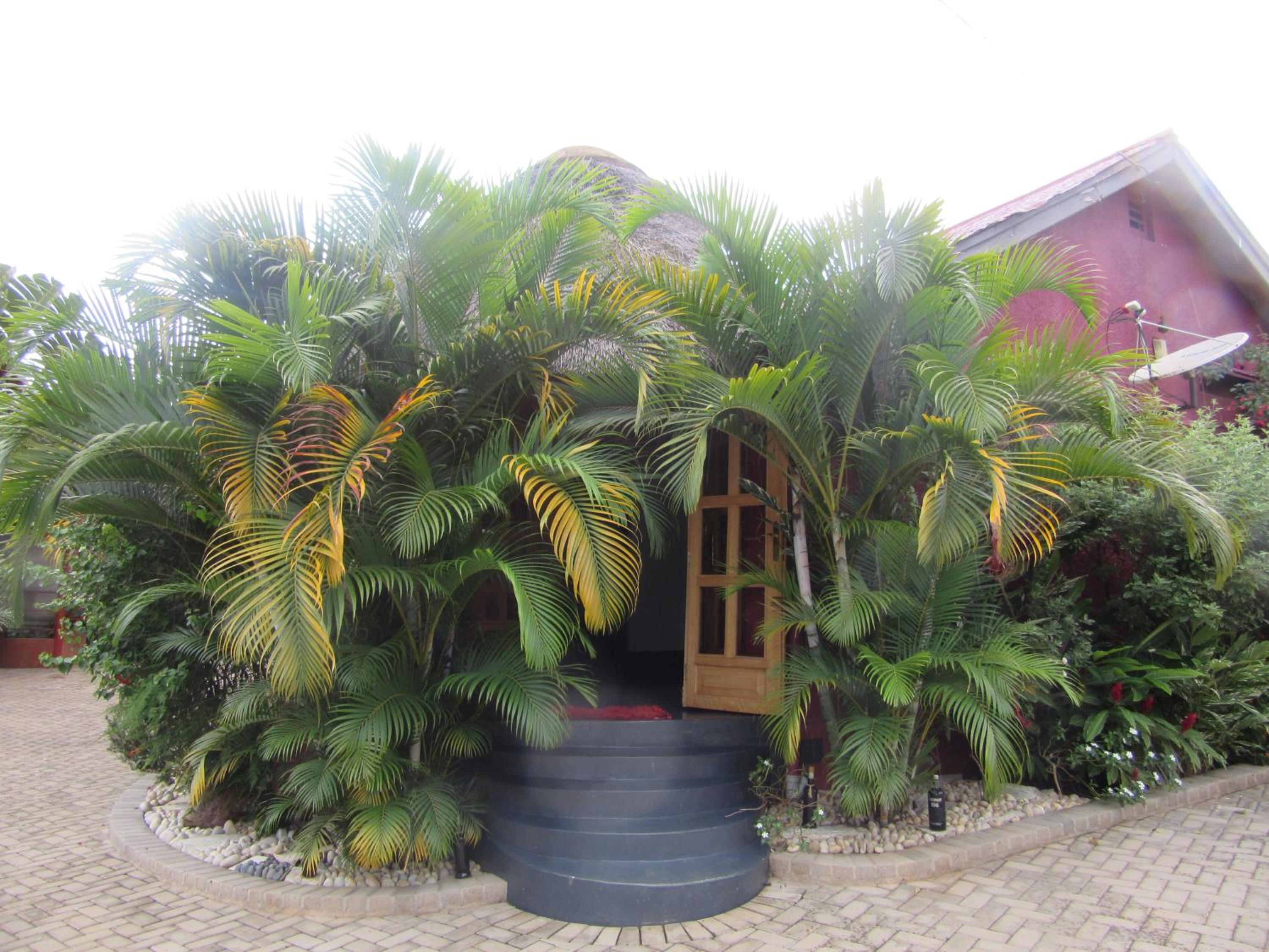 Precious Guesthouse view 4