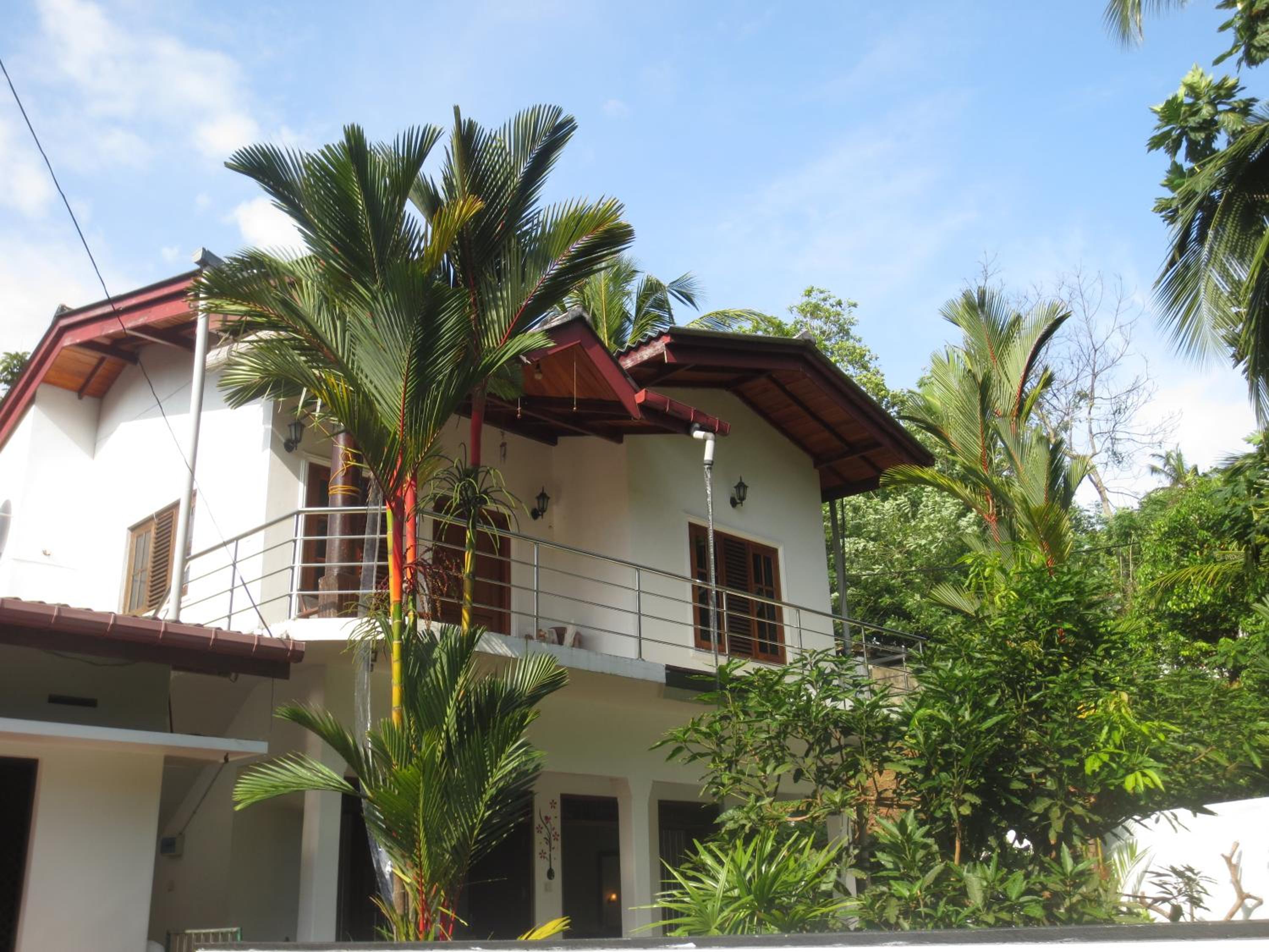 Jungle Holiday Home view 2