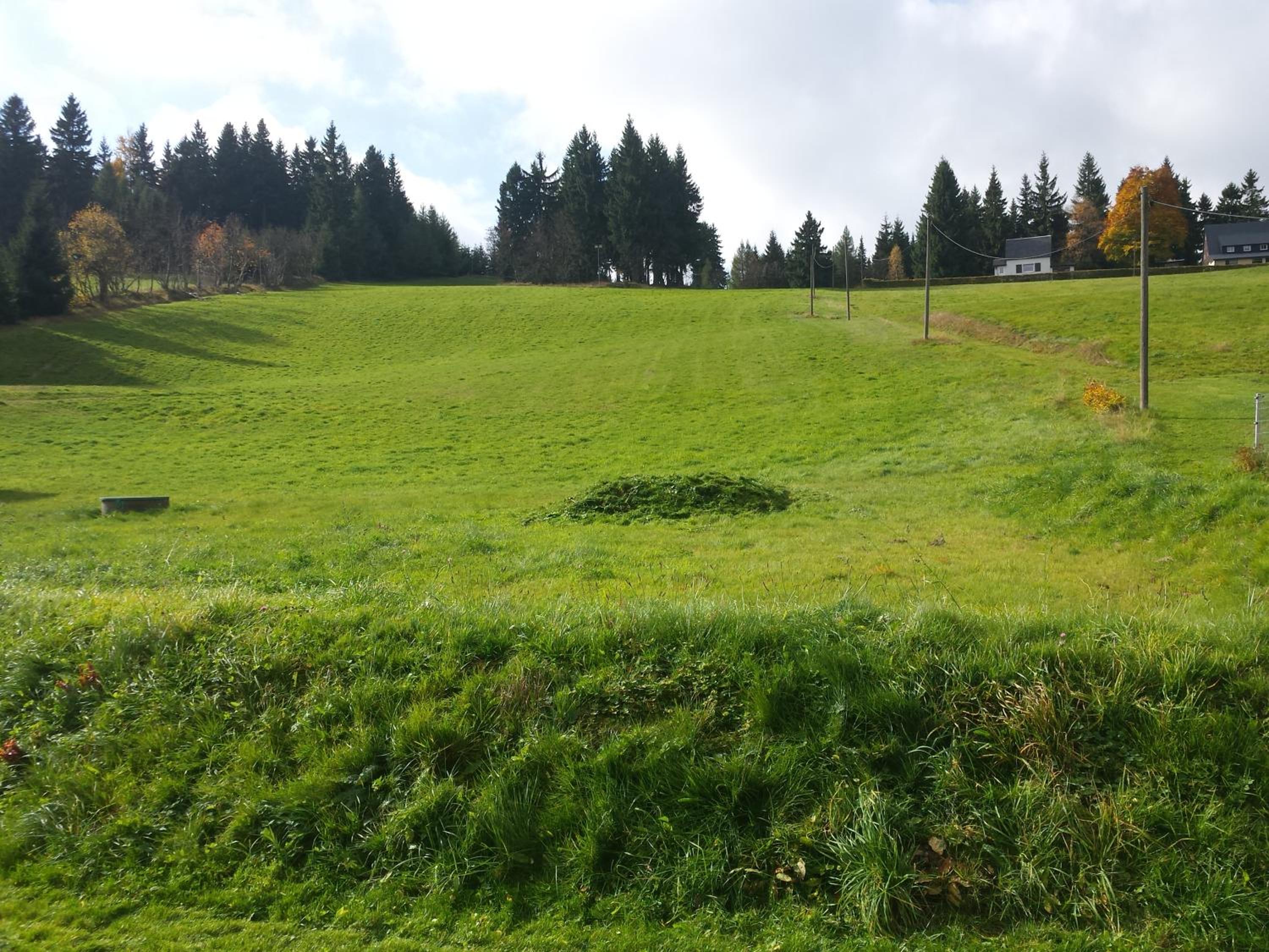 Photo 46